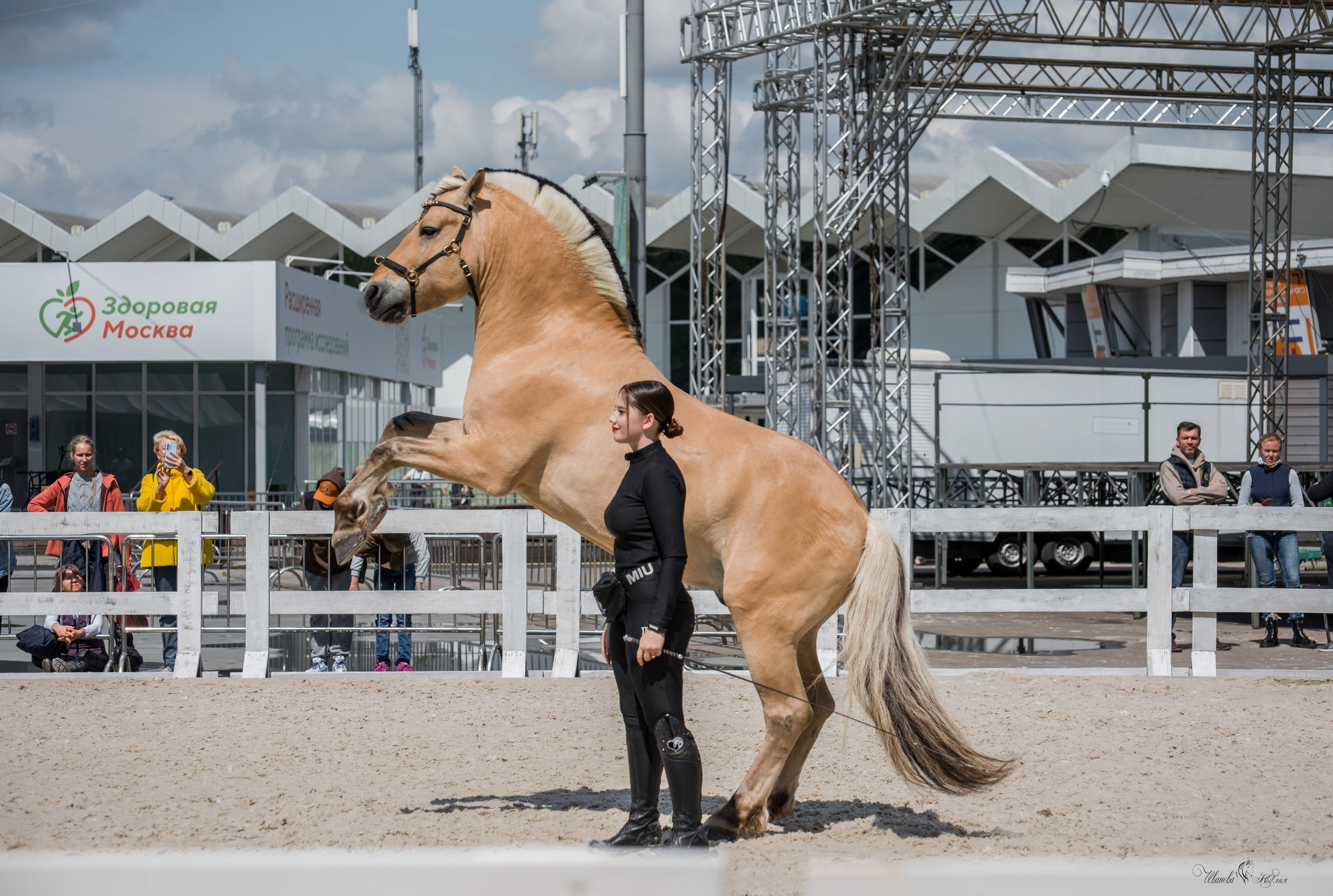 Эквирос, Москва. Конный фотограф в Саратове Юлия Иванова