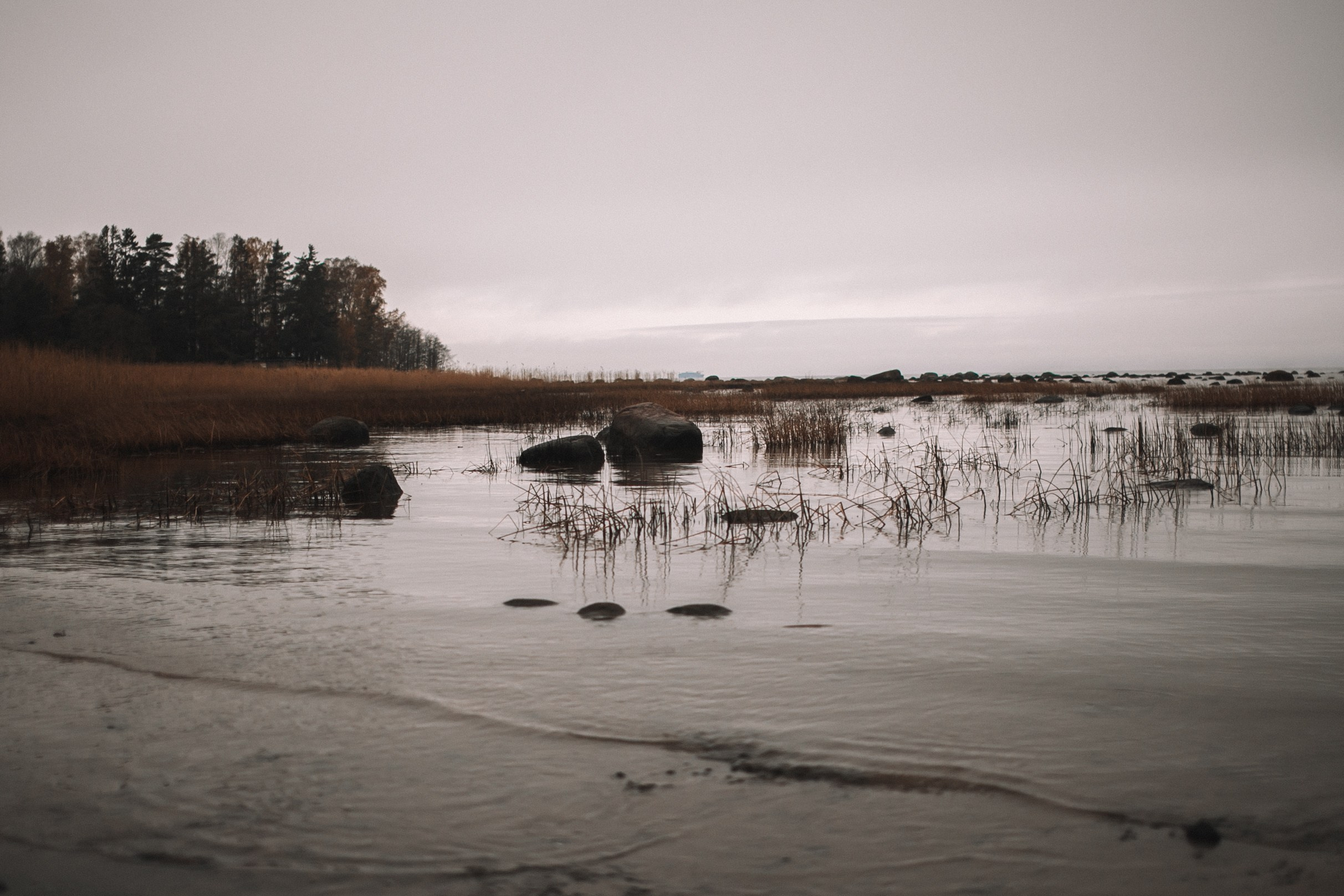 Заброшенная роскошь. Главная