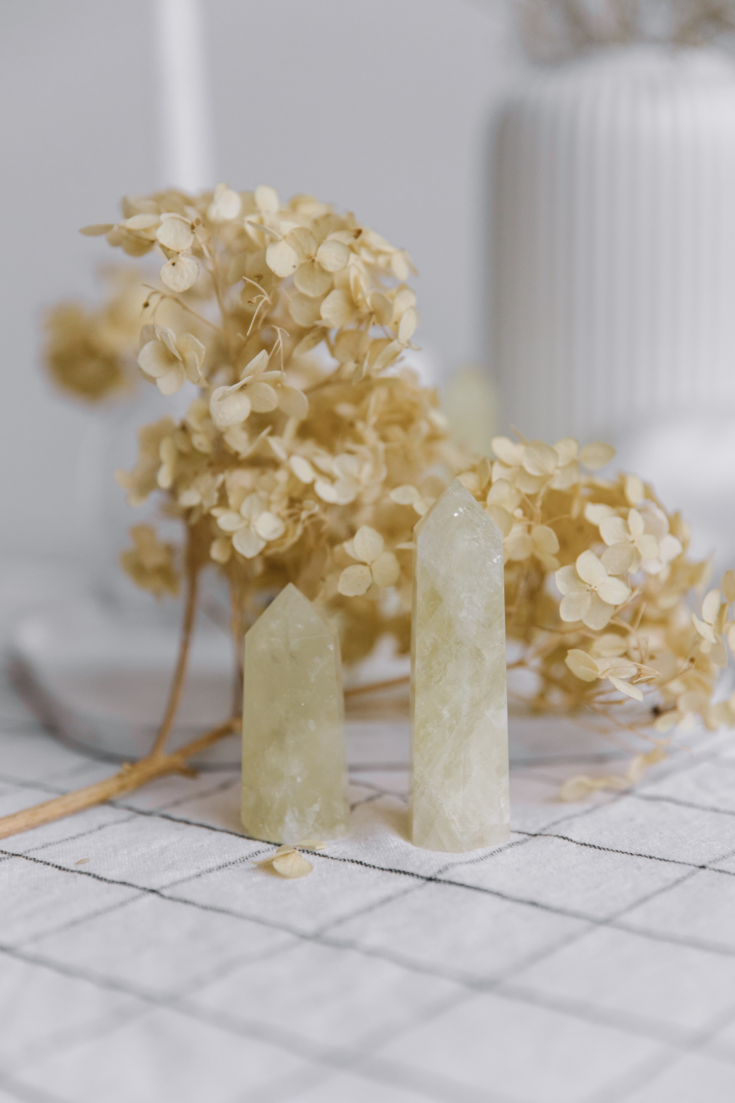 Камни. Фотограф Елена Краснопевцева