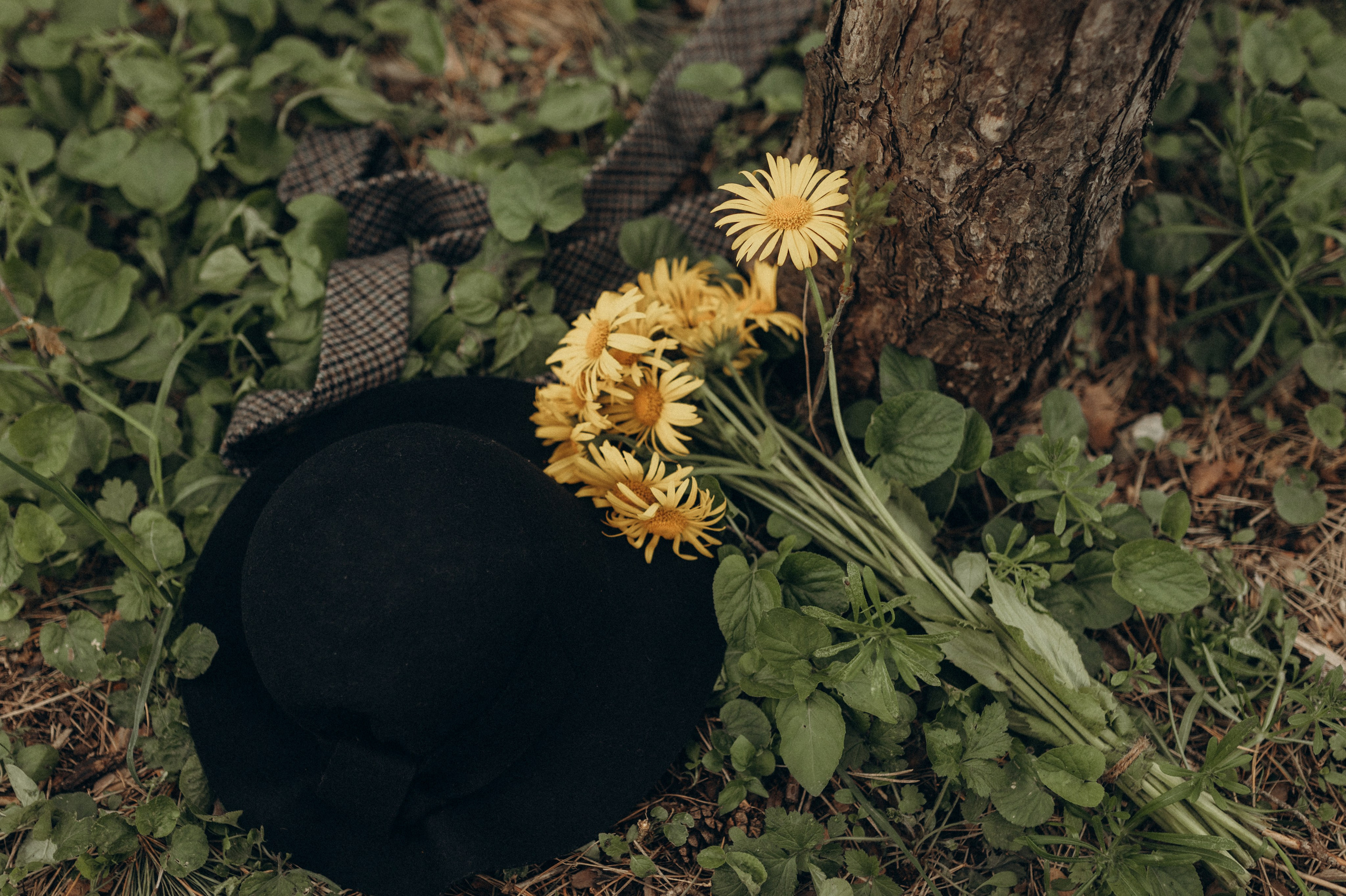 Прекрасная семья-Ваня, Виктория и Анютка. Фотограф в Ставрополе Svetlana Matveeva