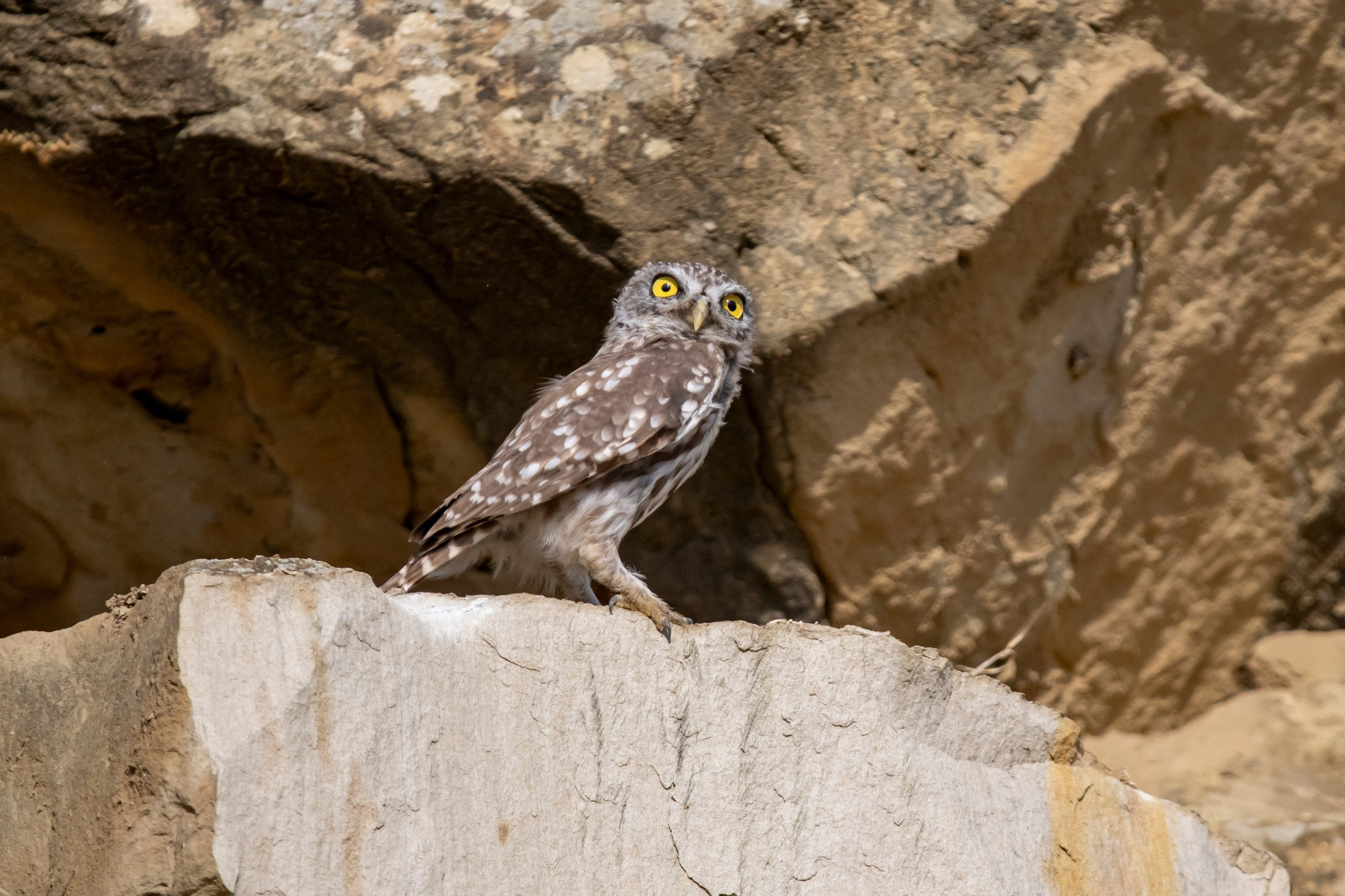 Природа Дагестана, сентябрь 2024. Foto-Zuev фотография как искусство