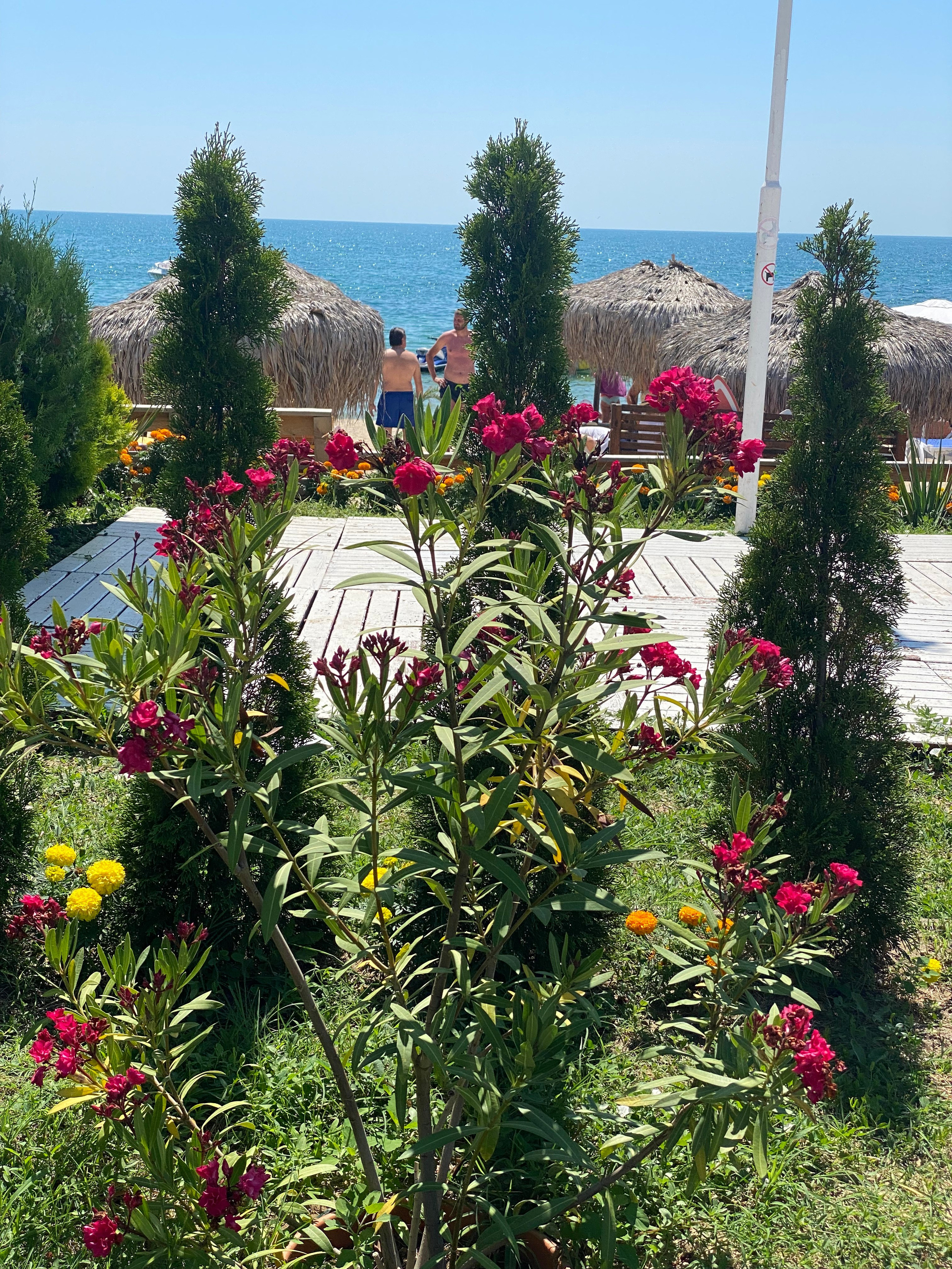 Равда, Несебр — 21. Своя Мастерская