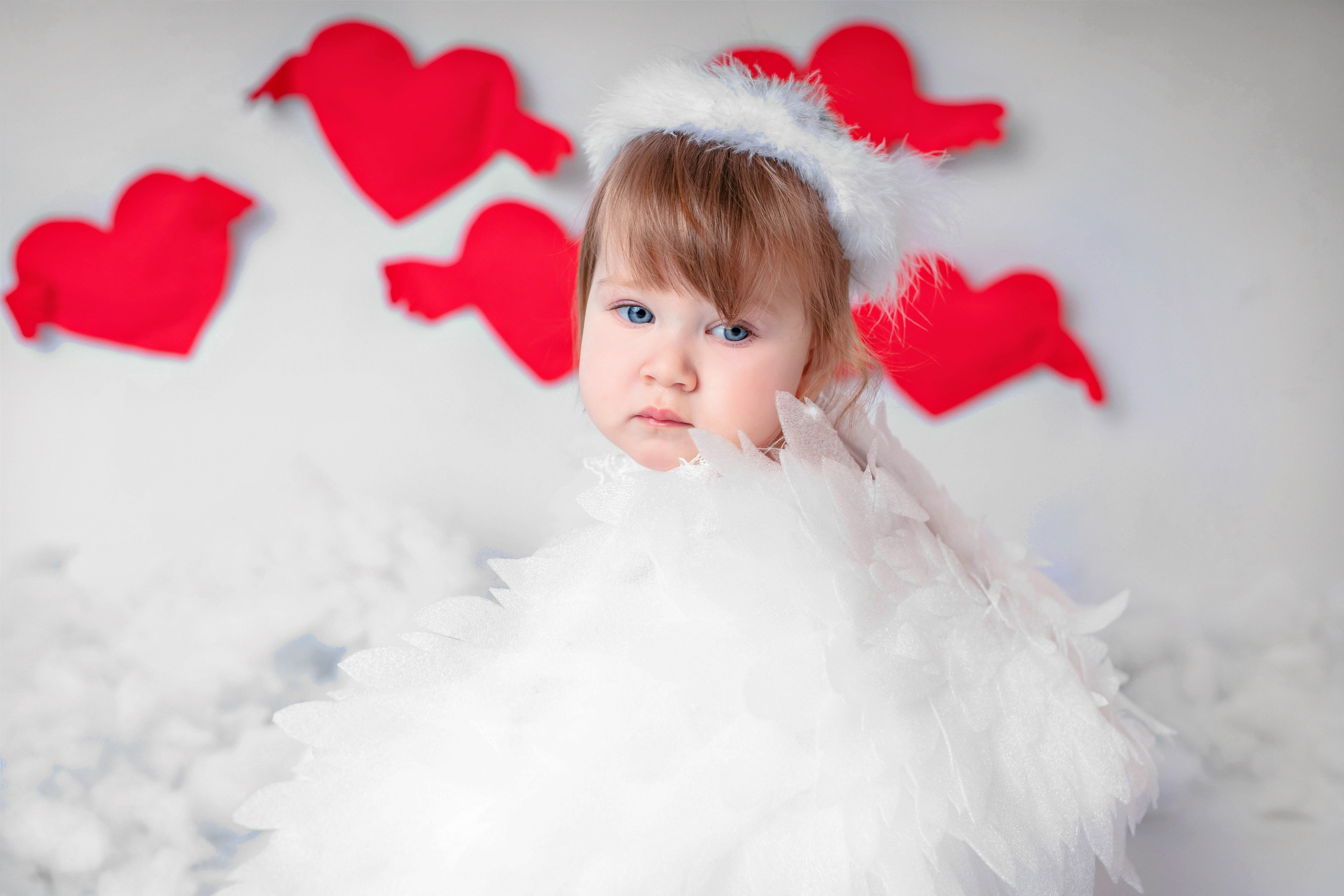 Купидон. Фотограф Болотова Иветта