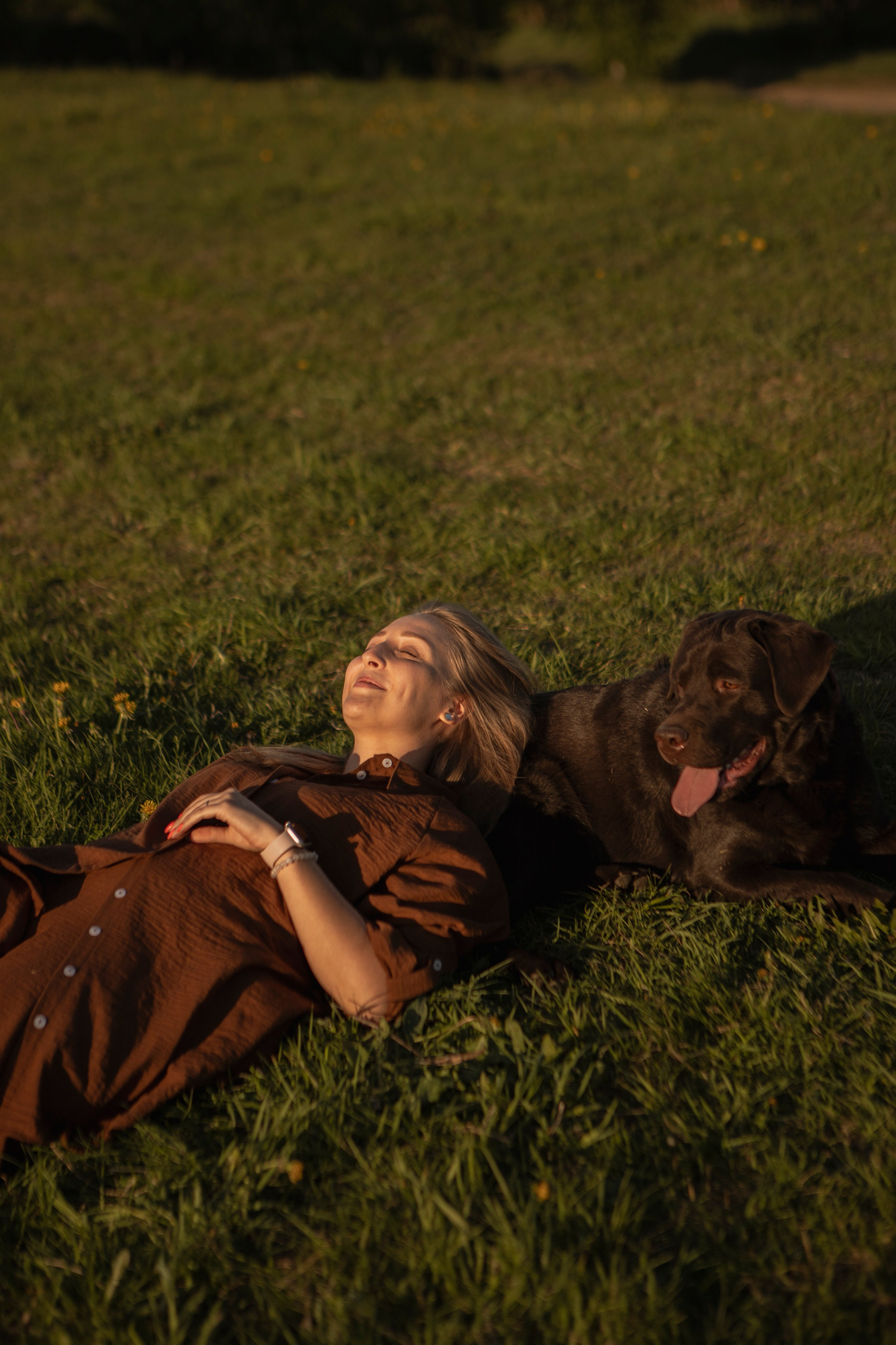 Закатная. Фотограф-анималист в Санкт-Петербурге Алина Яхонт