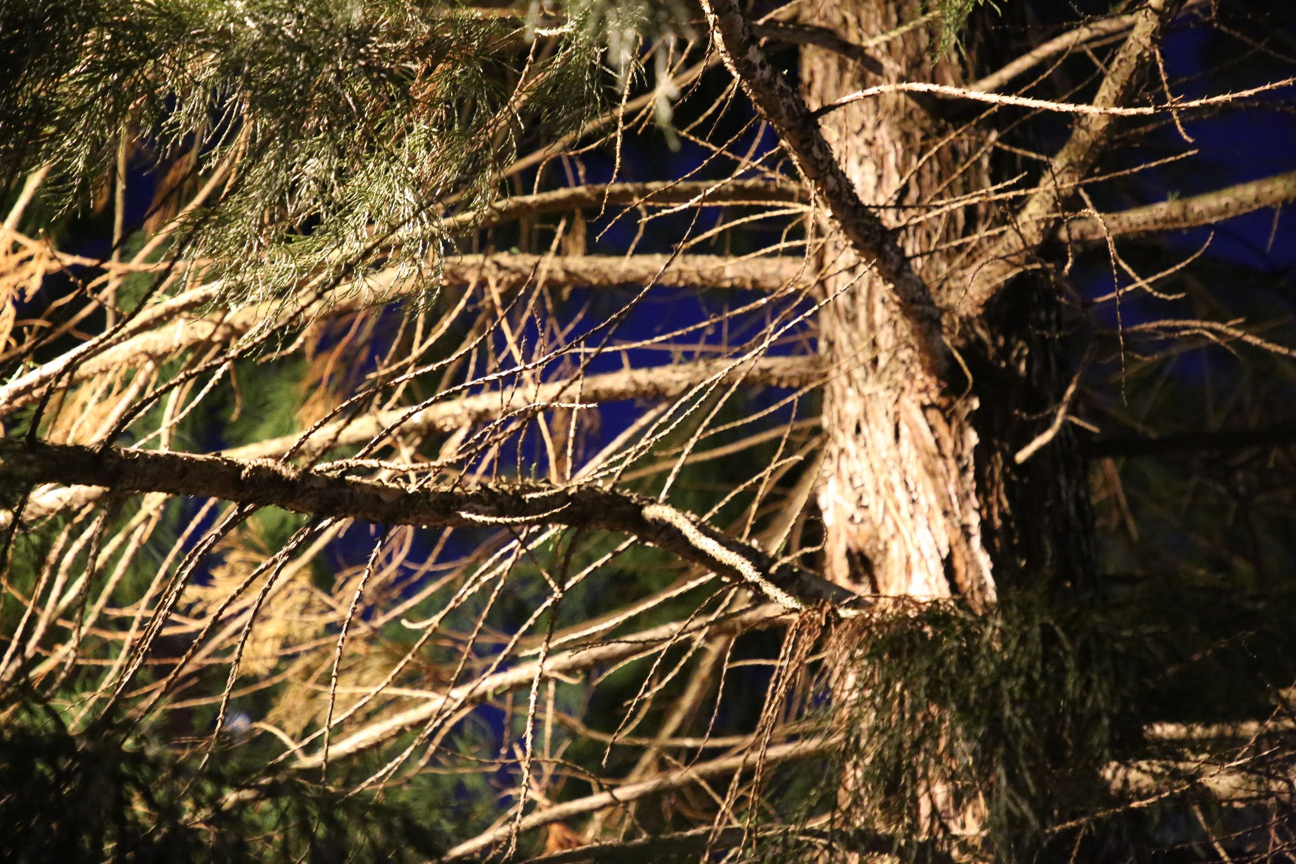 Geneva, Switzerland. Andrey Filippov Photographer