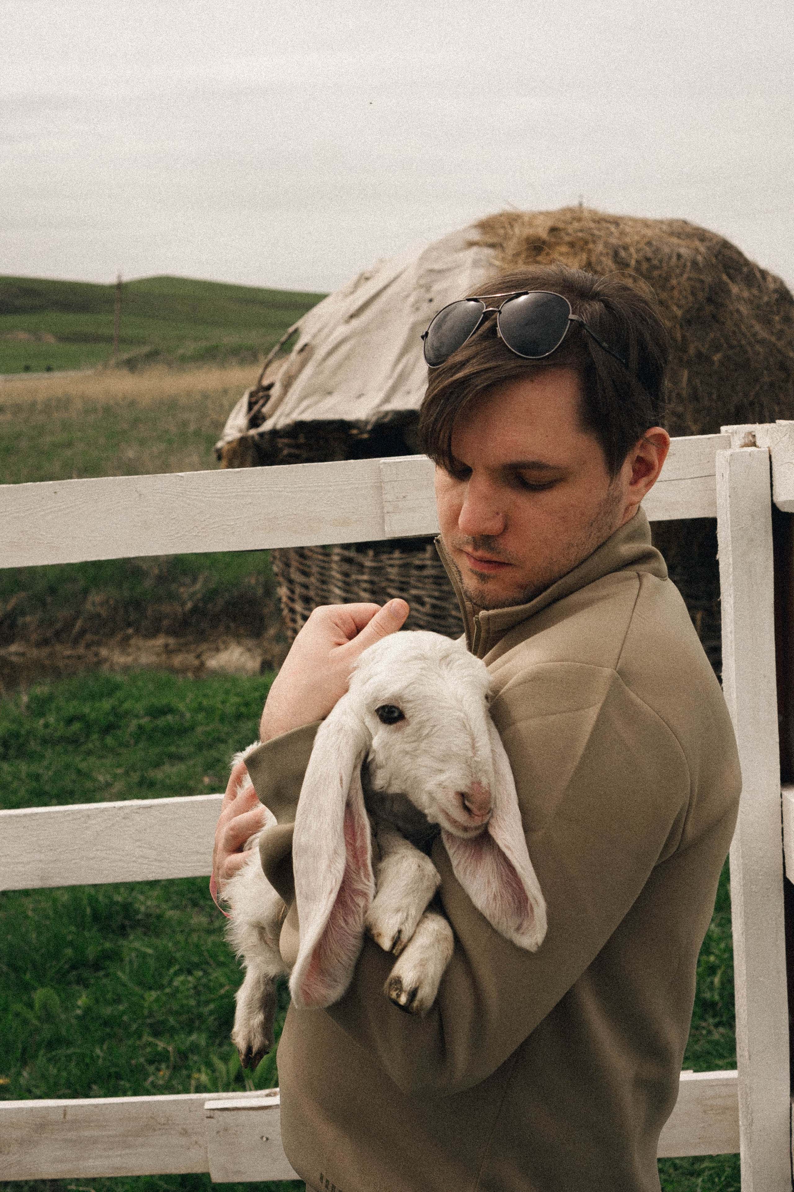 Ферма Альпак. Профессиональный фотограф, Санкт-Петербург — Виктория Богомолова