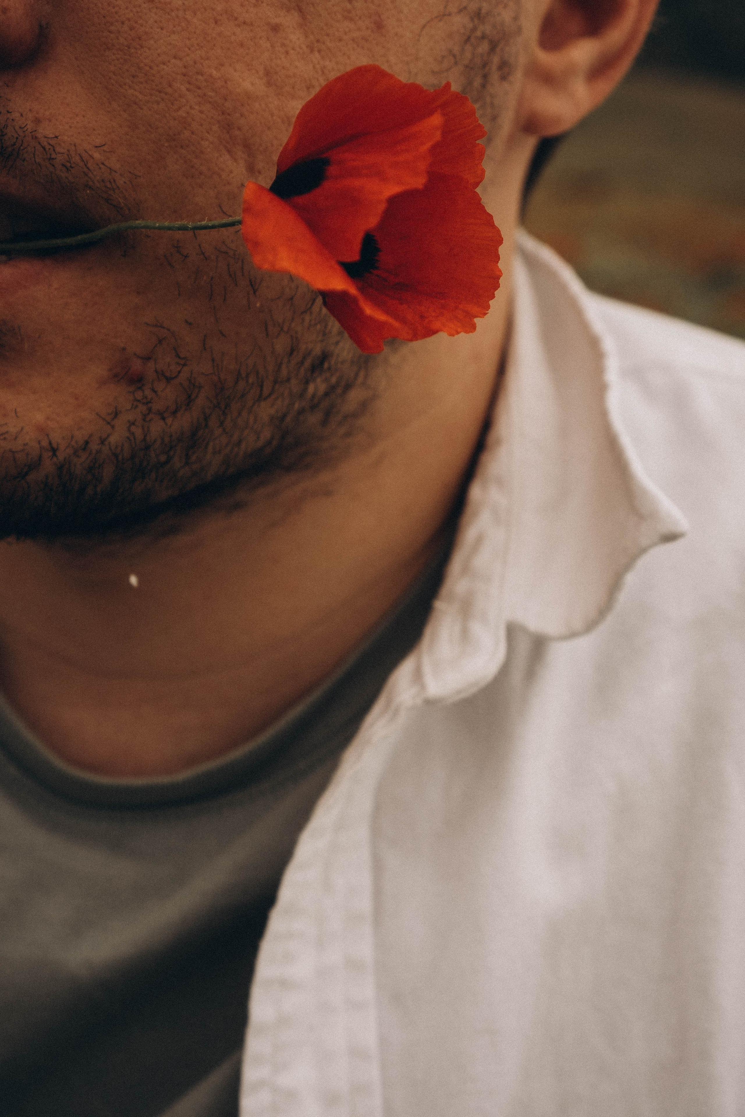 Маки. Профессиональный фотограф, Санкт-Петербург — Виктория Богомолова