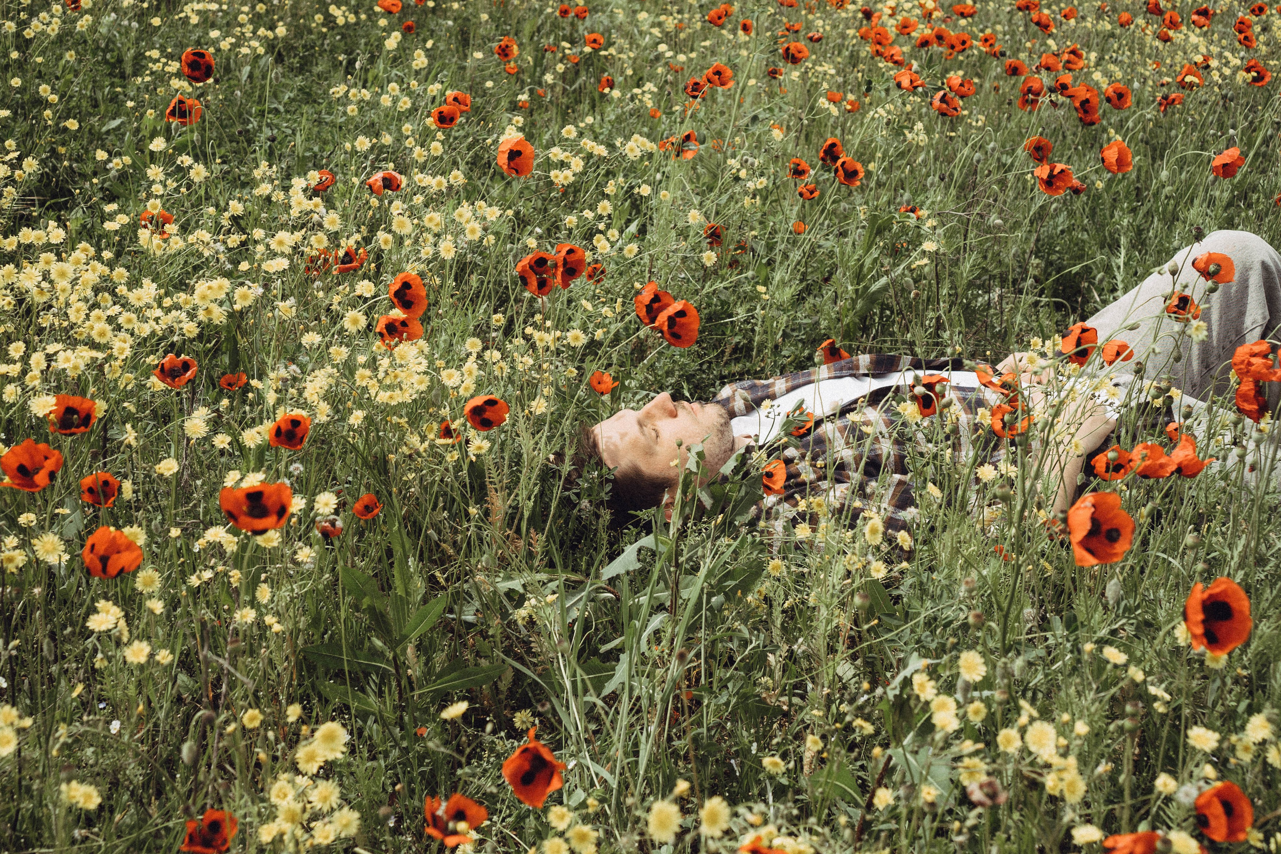Маки. Профессиональный фотограф, Санкт-Петербург — Виктория Богомолова