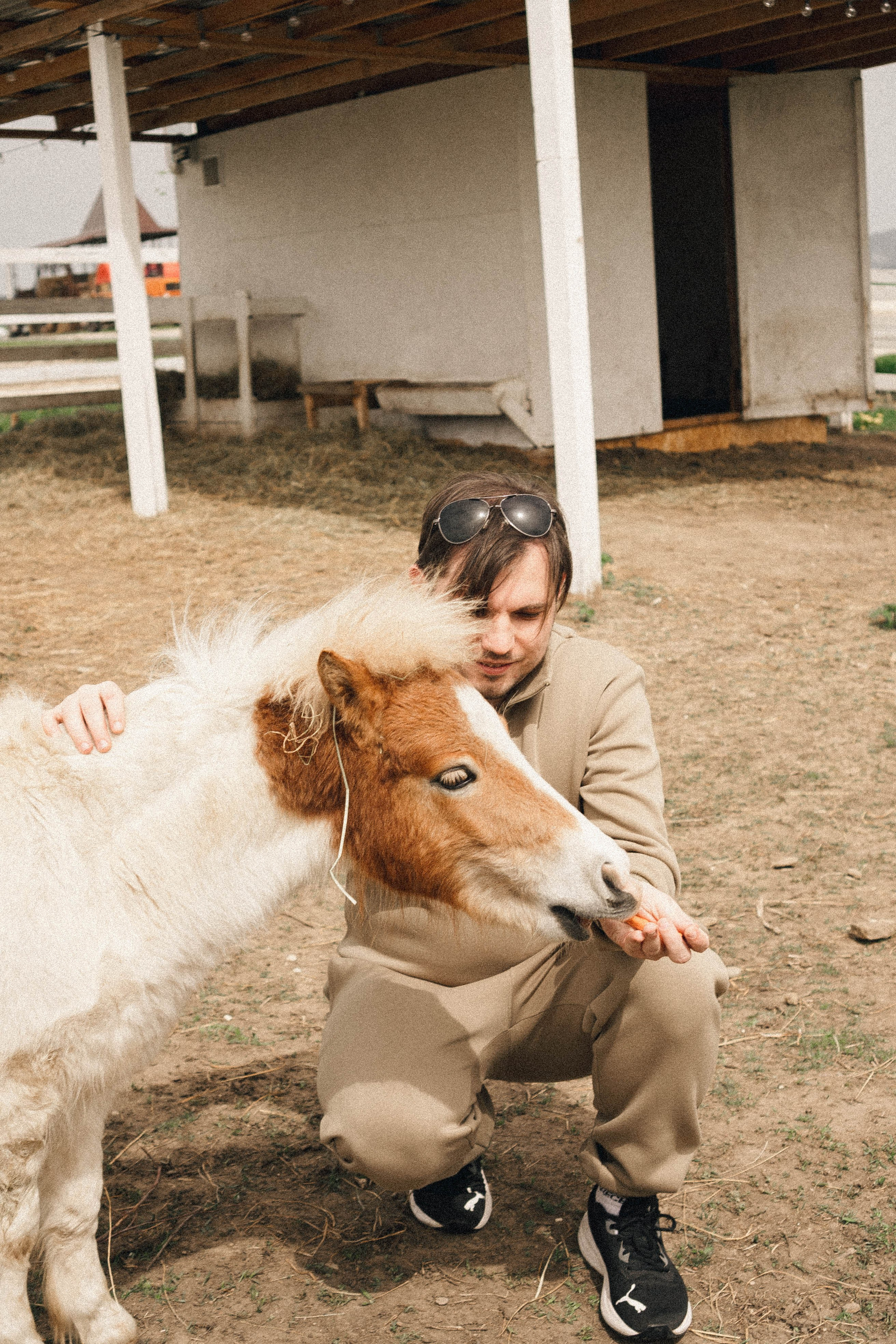Ферма Альпак. Профессиональный фотограф, Санкт-Петербург — Виктория Богомолова