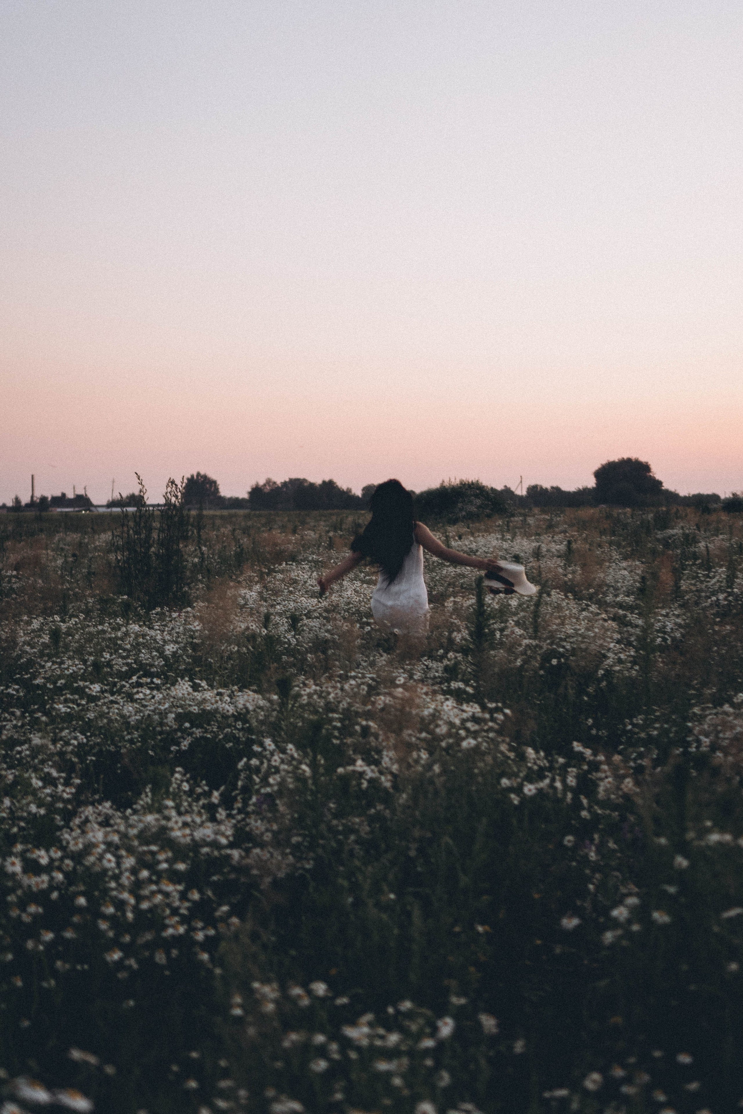 Ромашковое поле. Профессиональный фотограф, Санкт-Петербург — Виктория Богомолова