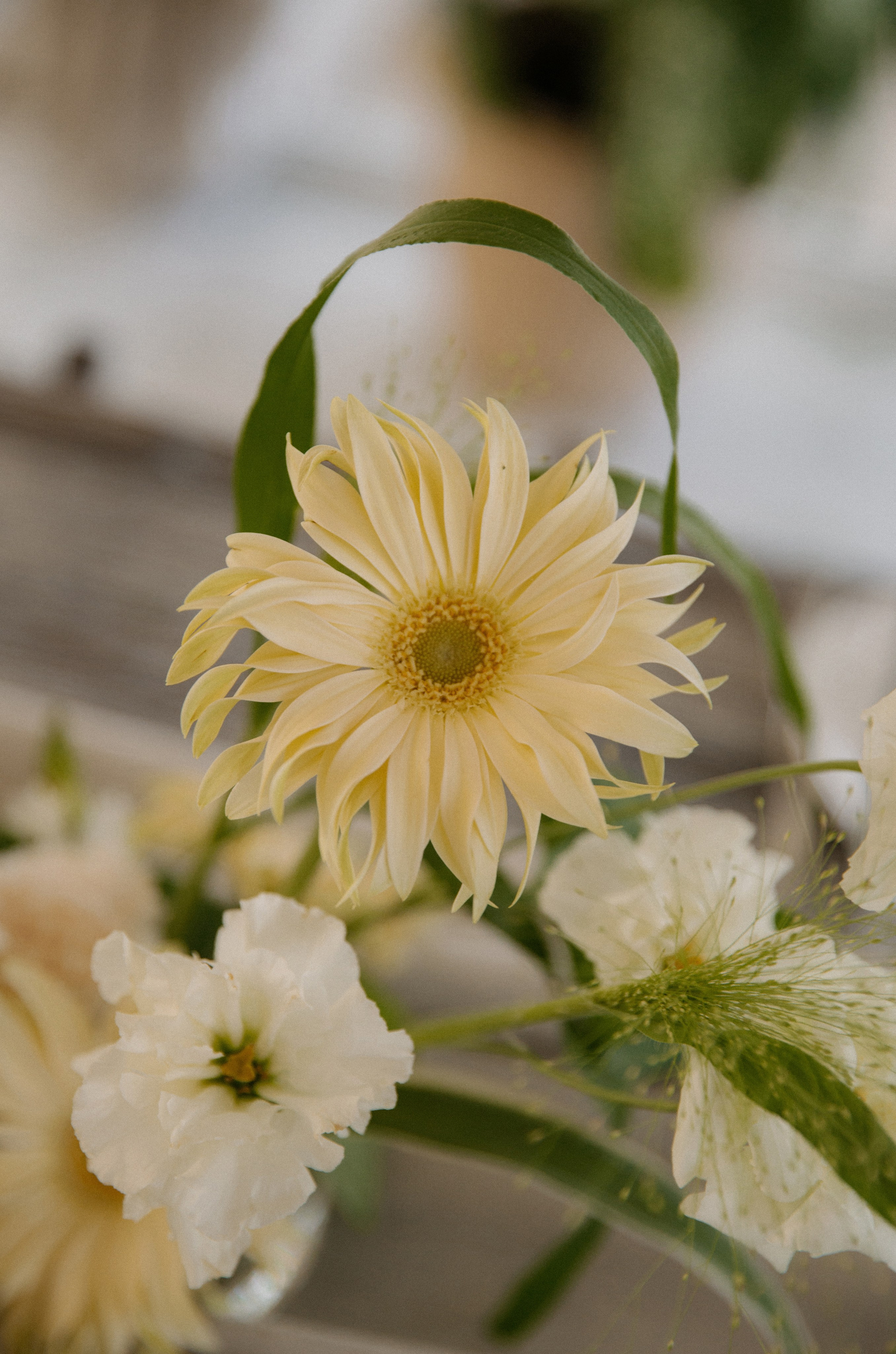 Анастасия | Максим. Фотограф в Краснодаре и Краснодарском крае