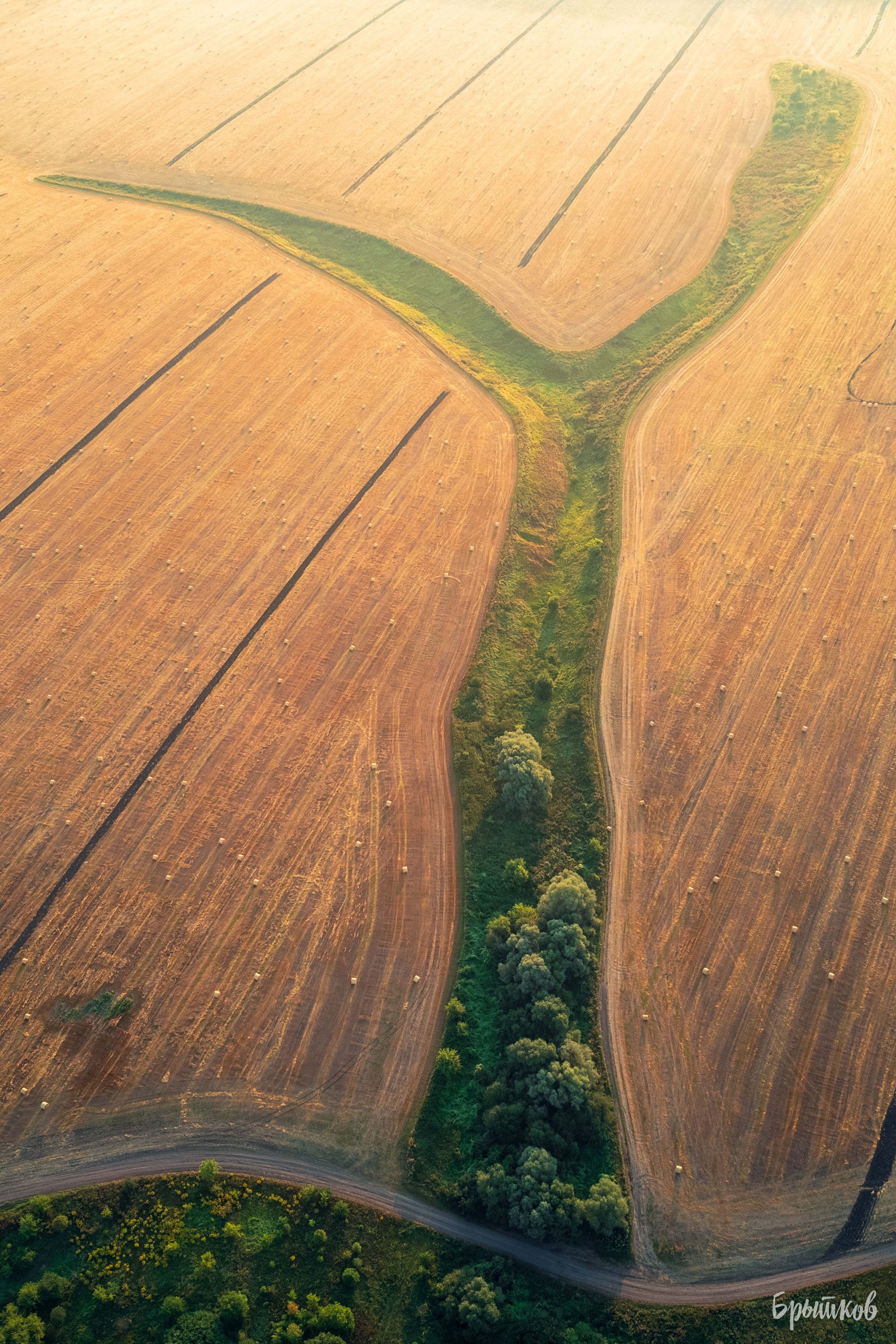 Поля. Сено в кругляшах. Николай Брытков — фотограф в Туле