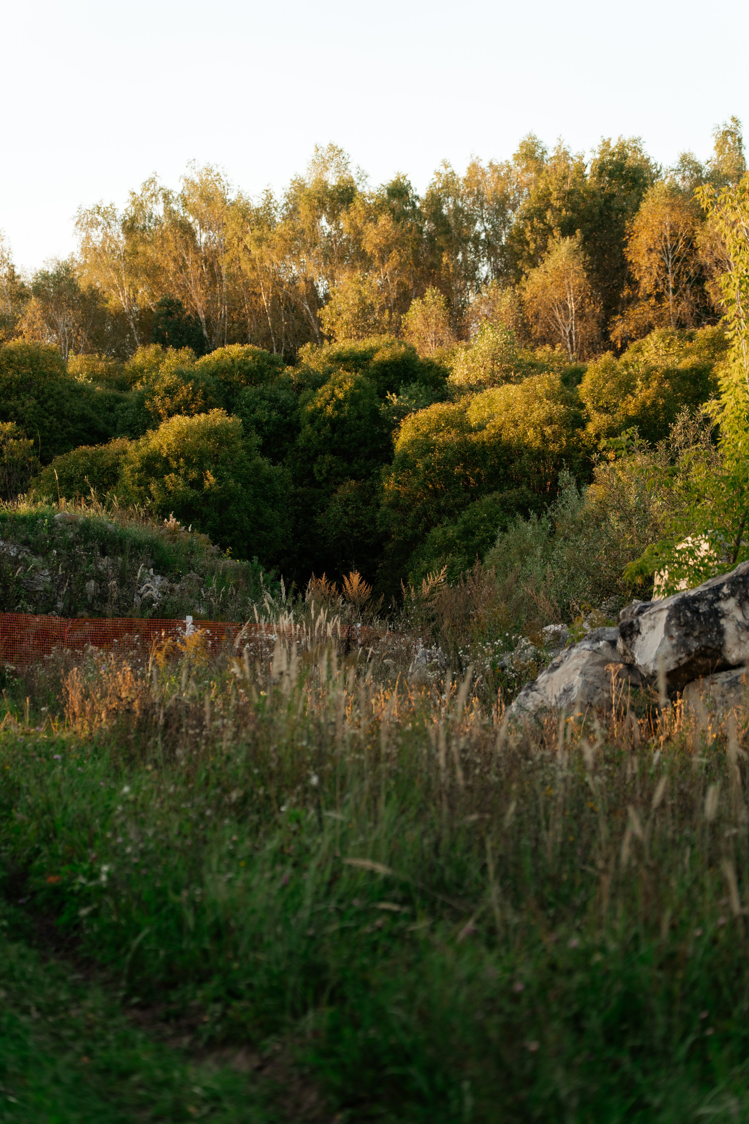 Дугна. Vlad Trykov