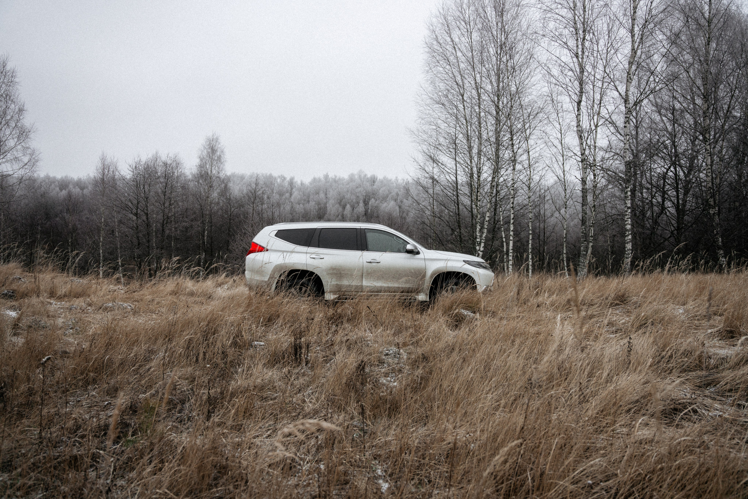 Прогулка по оврагу близ реки. Vlad Trykov