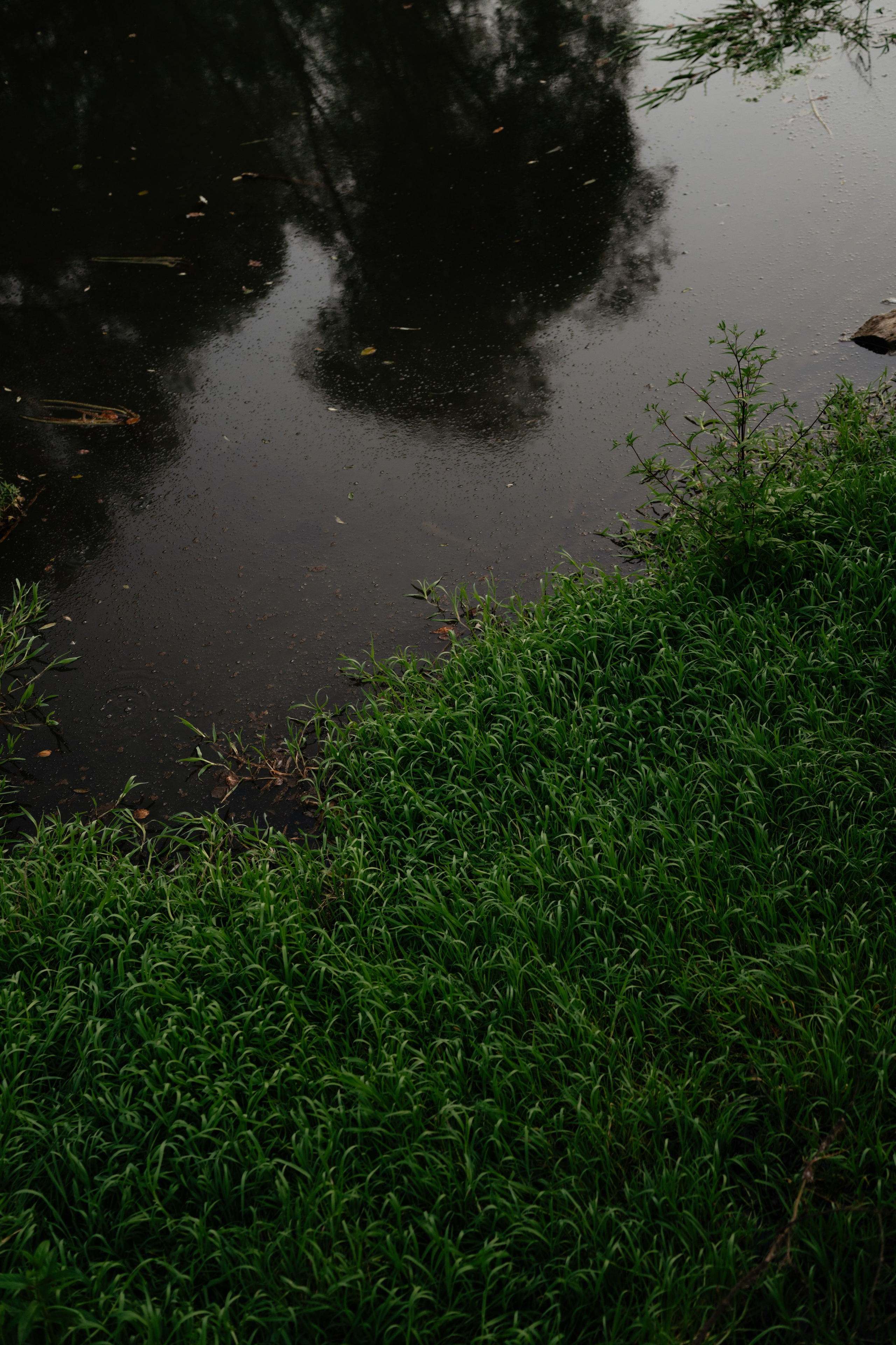 Дугна. Vlad Trykov