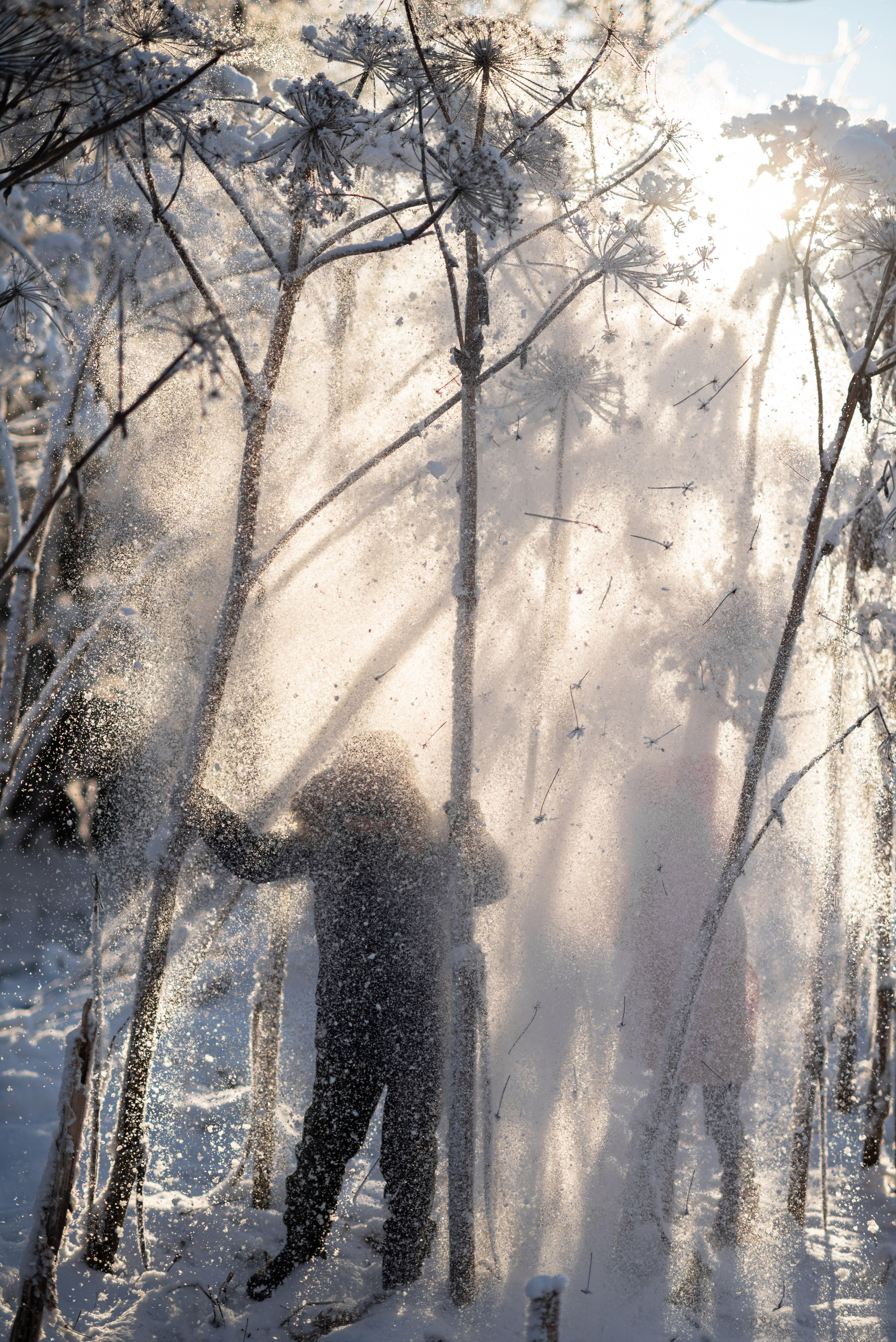 Детская зимняя фотосессия в Сыктывкаре детский фотограф Сыктывкар. Фотограф новорождённых детский фотограф Сыктывкар Наталья Линдт