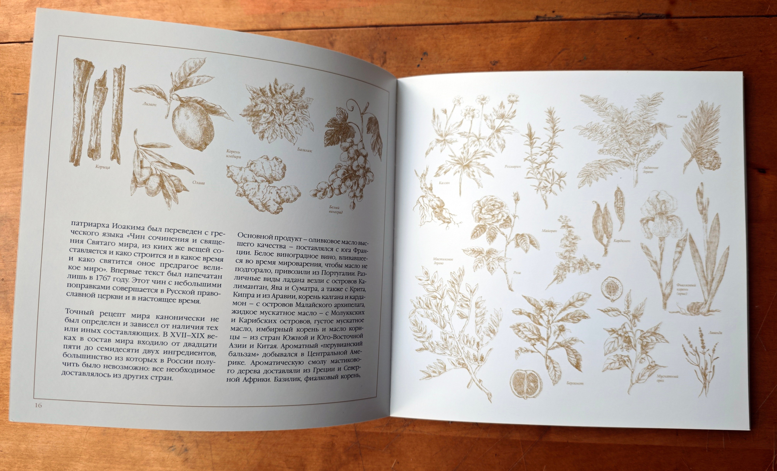 МИРОВАРЕНИЕ В МОСКОВСКОМ КРЕМЛЕ. Официальный сайт художника Перепеченовой Анны