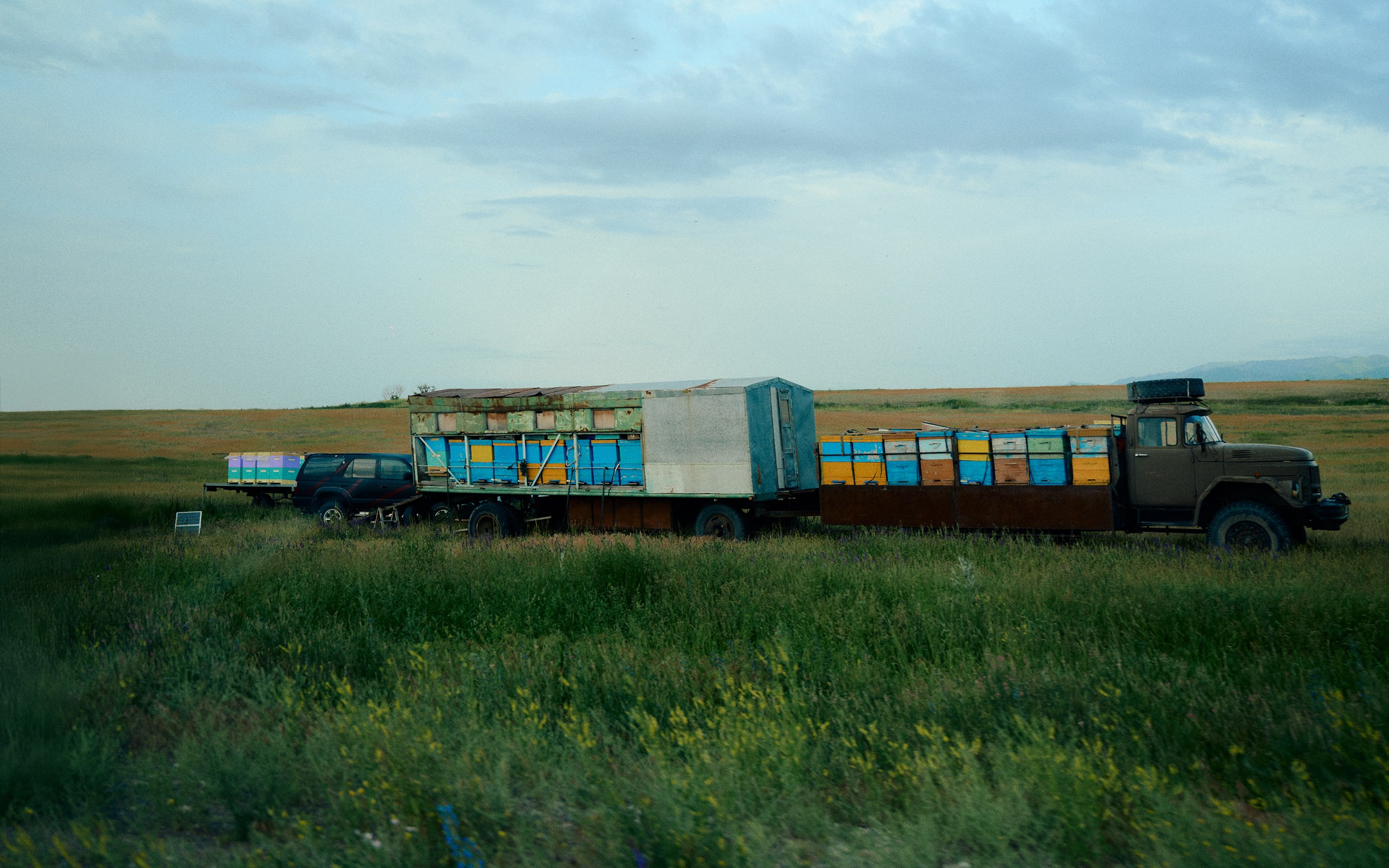 2025 — путешествия на цифру. Фотограф в Алматы — Алексей Коньков | Репортаж, свадьбы, портреты