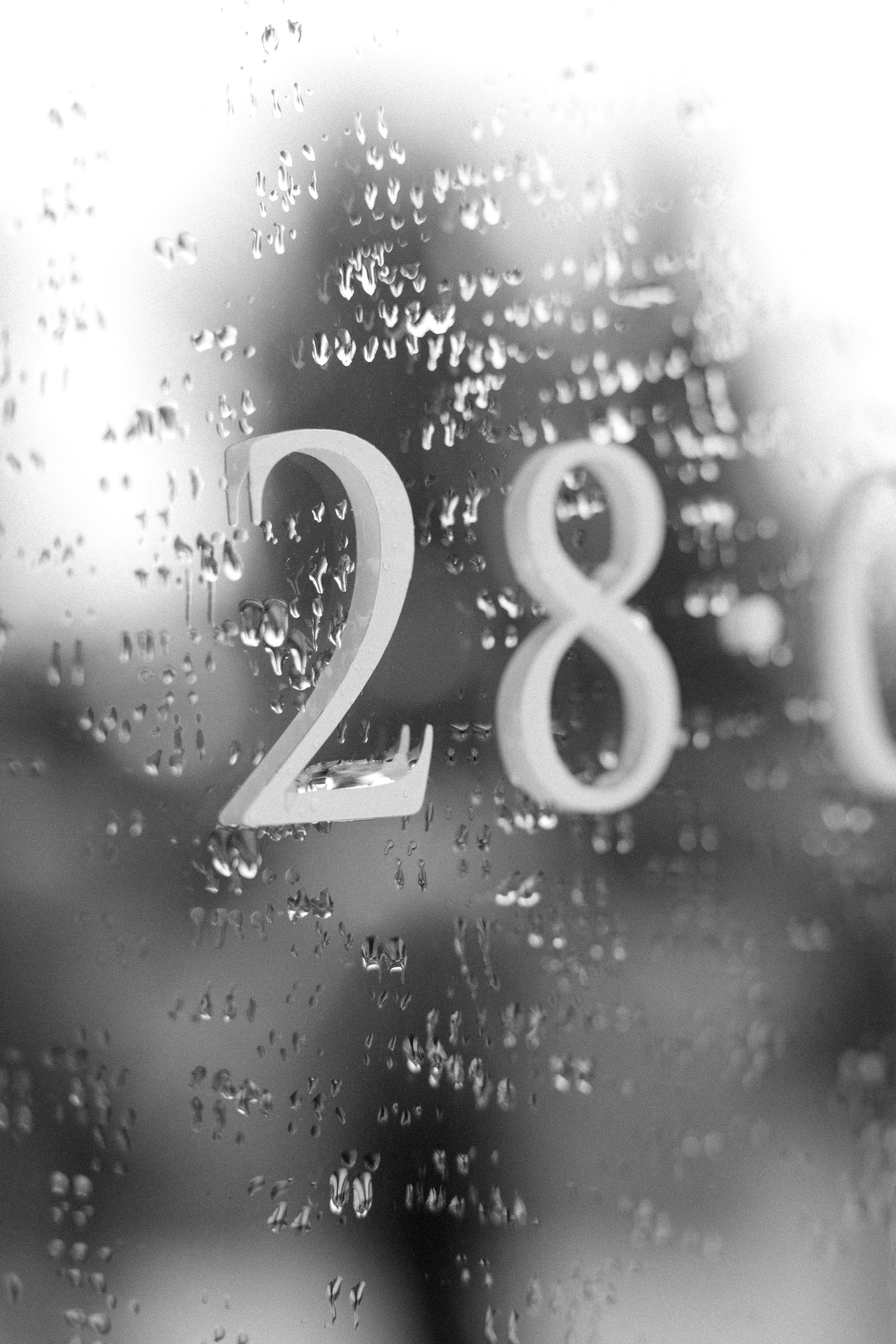 Даниил и Светлана. Свадебный и семейный фотограф в Новосибирске Наталья Зорина