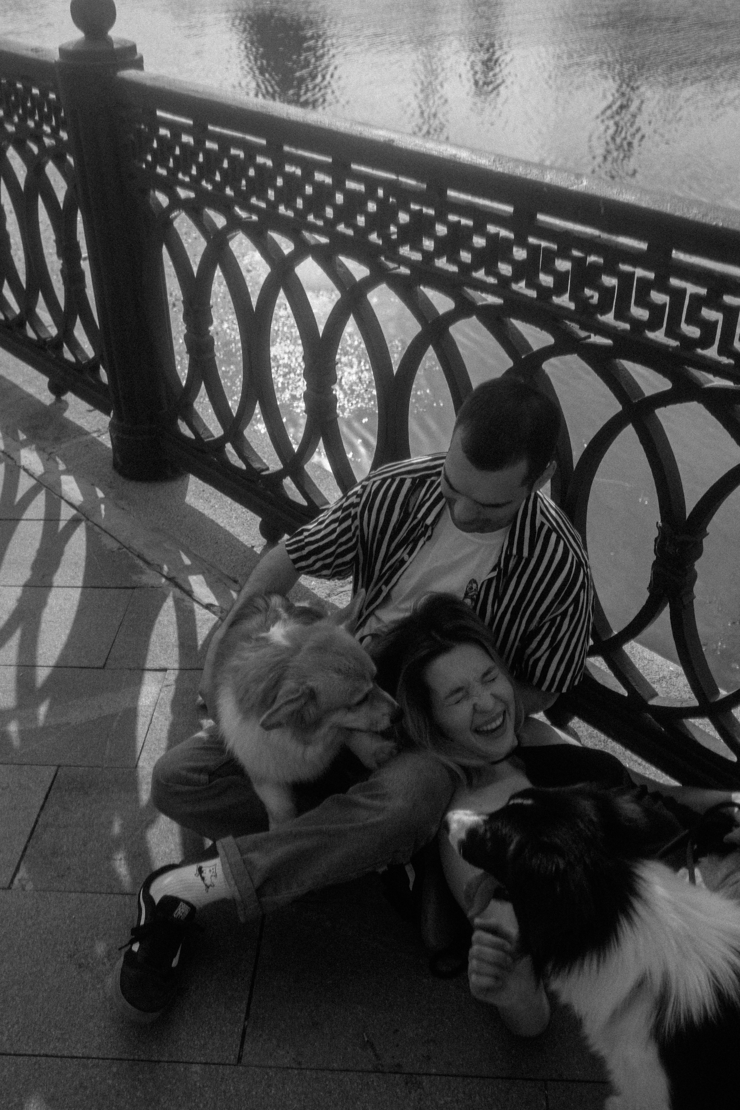 Брюс, Вейв и их ро. Фотораф — анималист Мария Шистка