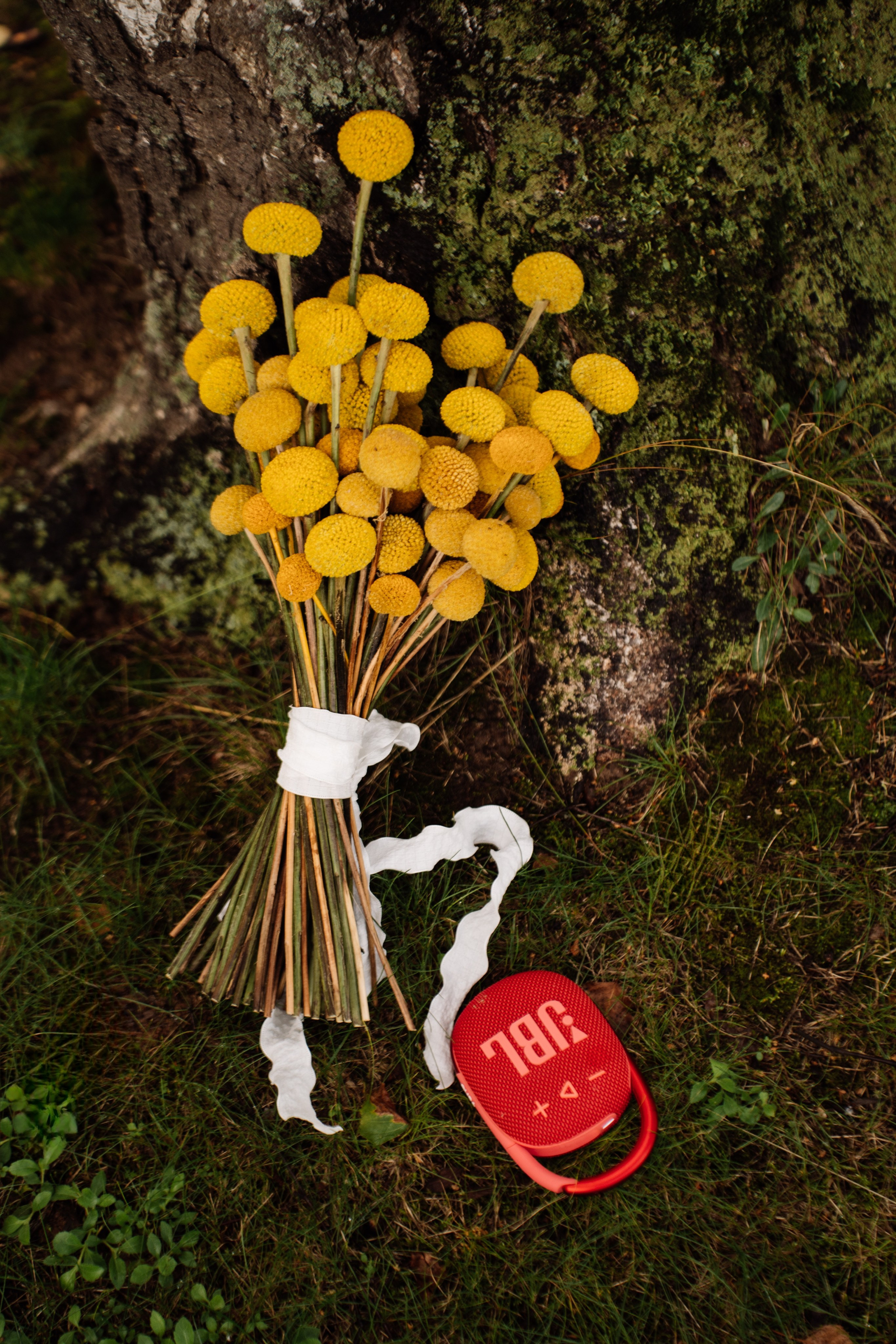 Искренность момента. Свадебный фотограф