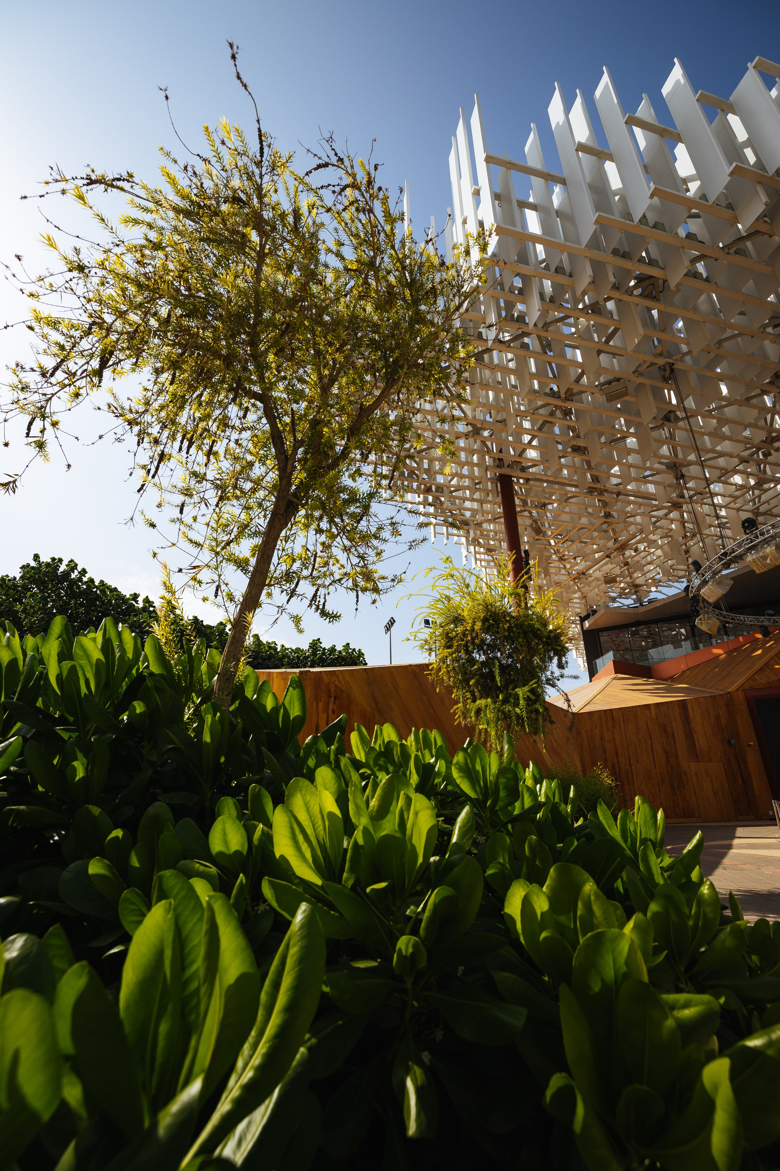 Дубай 2023. Руслан Плахтеев