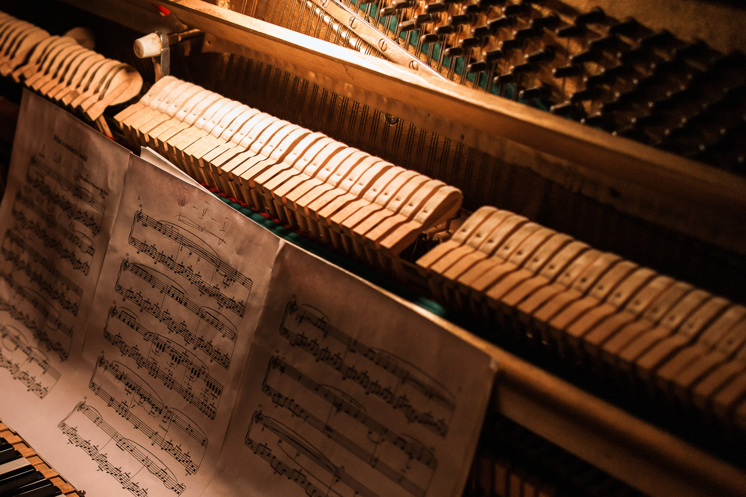 Вино.Еда.Джаз. Свадебный фотограф Краснодар и Москва. Анна Еремчук