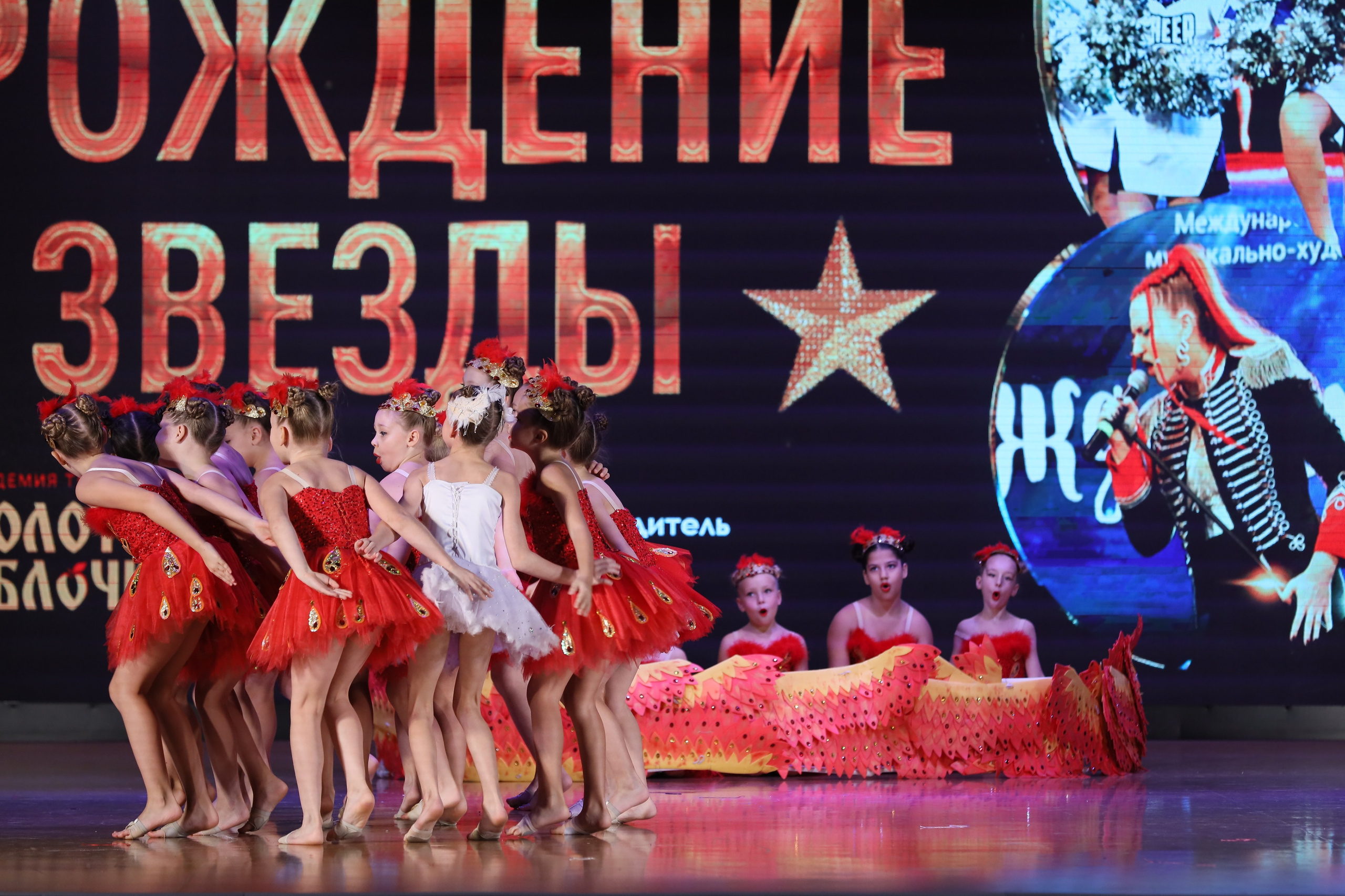 4 ноября, блок 1, видео, номера 14-29, г. Краснодар. Золотое яблочко