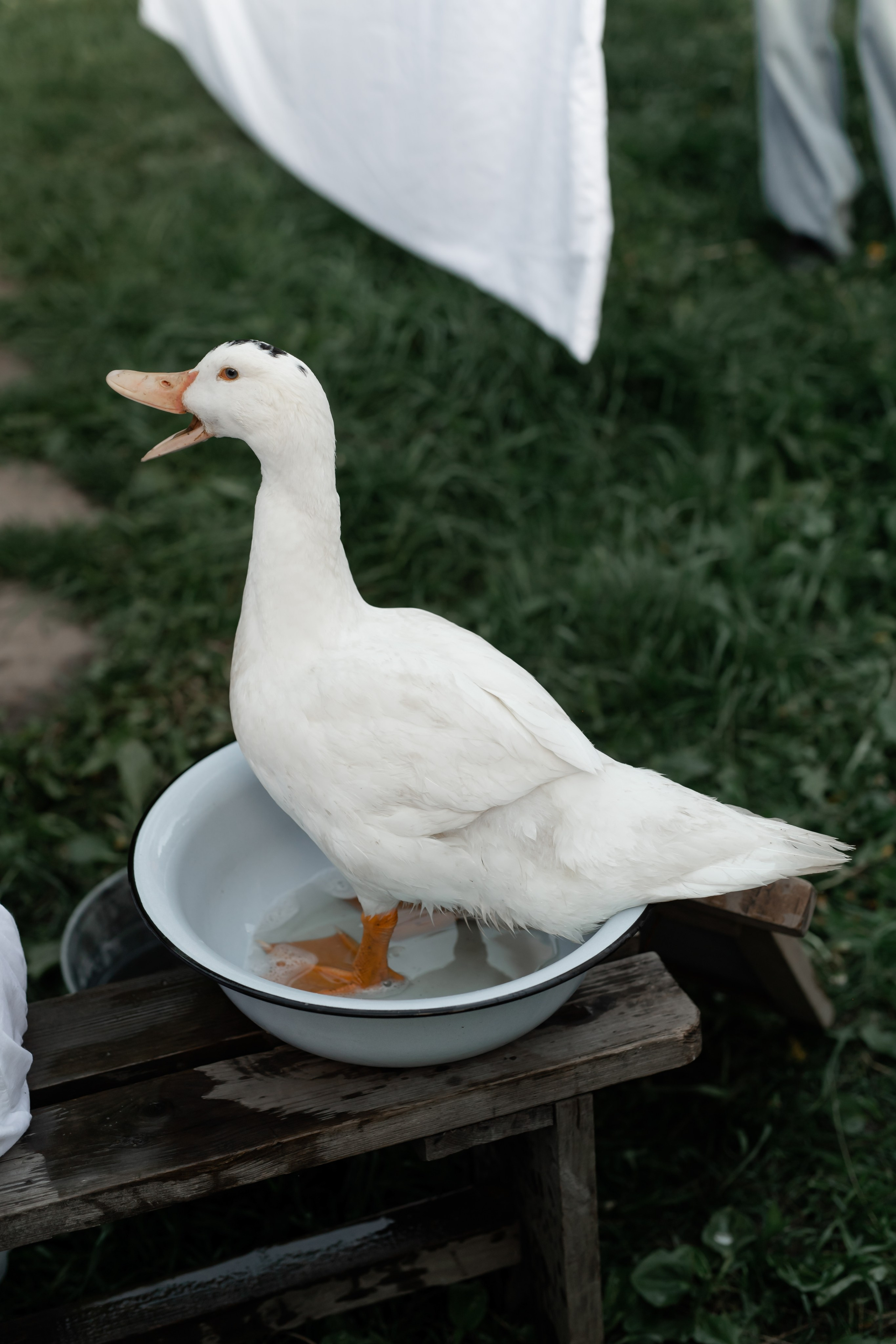 Katry. Семейный и контент фотограф