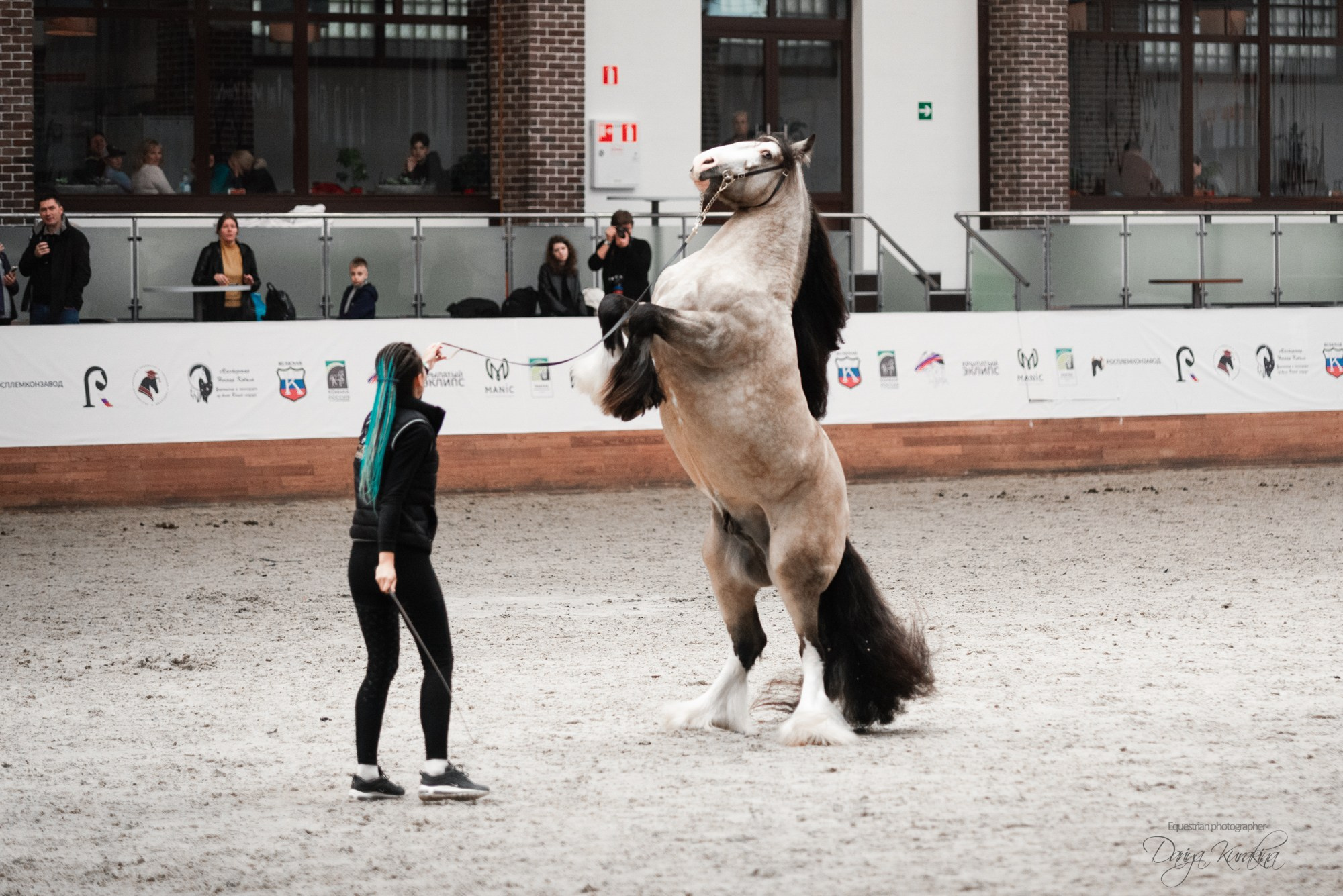 8-я международная выставка Конная Россия. Конный фотограф Куракина Дарья • Фотосессии с лошадьми
