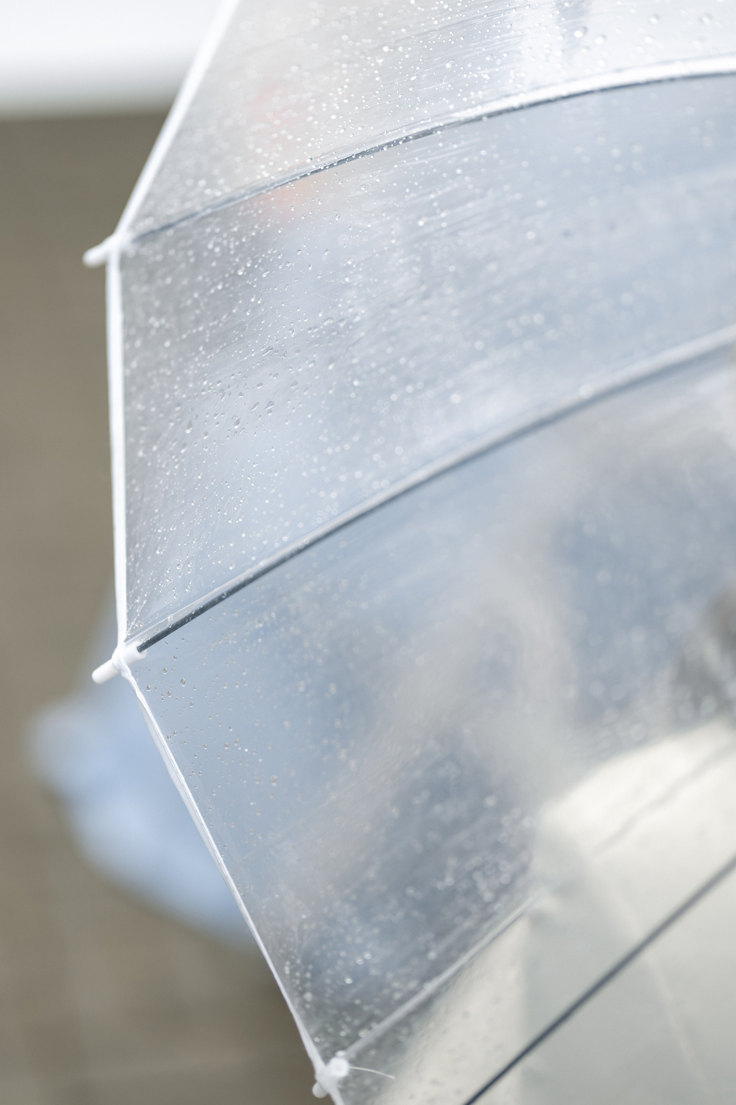 Андрей и Юлия. Свадебный и семейный фотограф в Орша