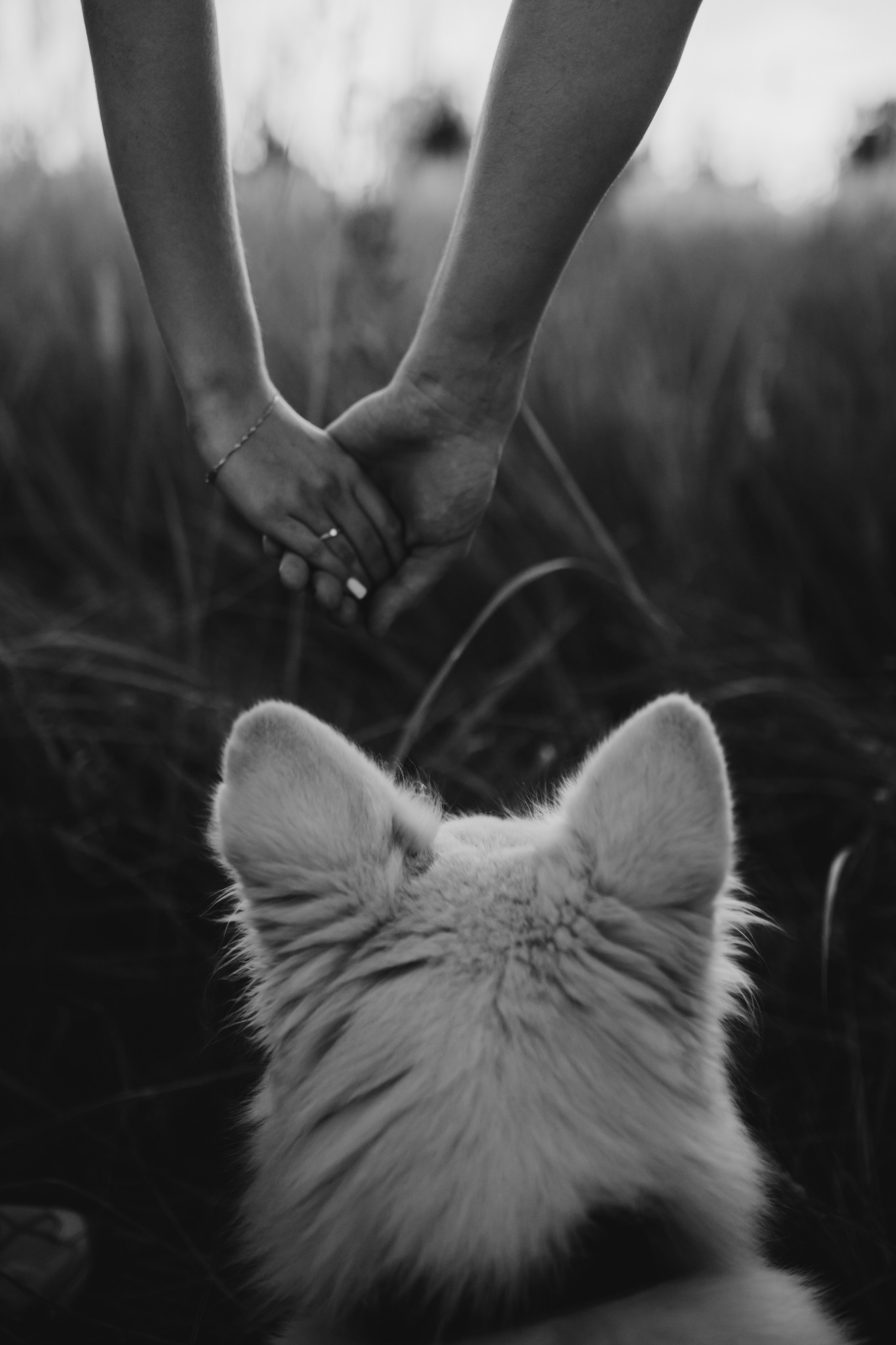 Мы вместе. Главная