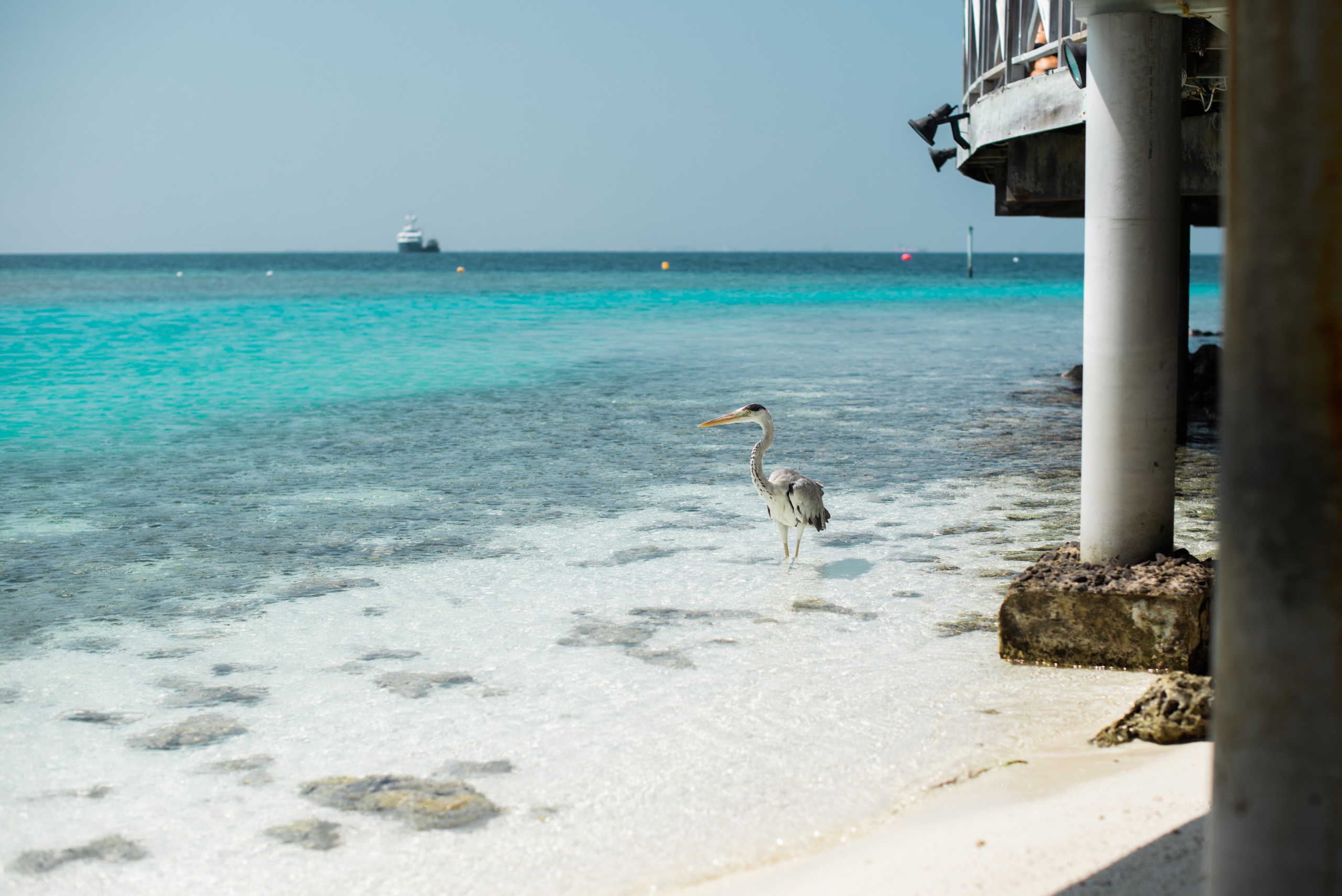 Мальдивы. Фотограф Алиса Аспер