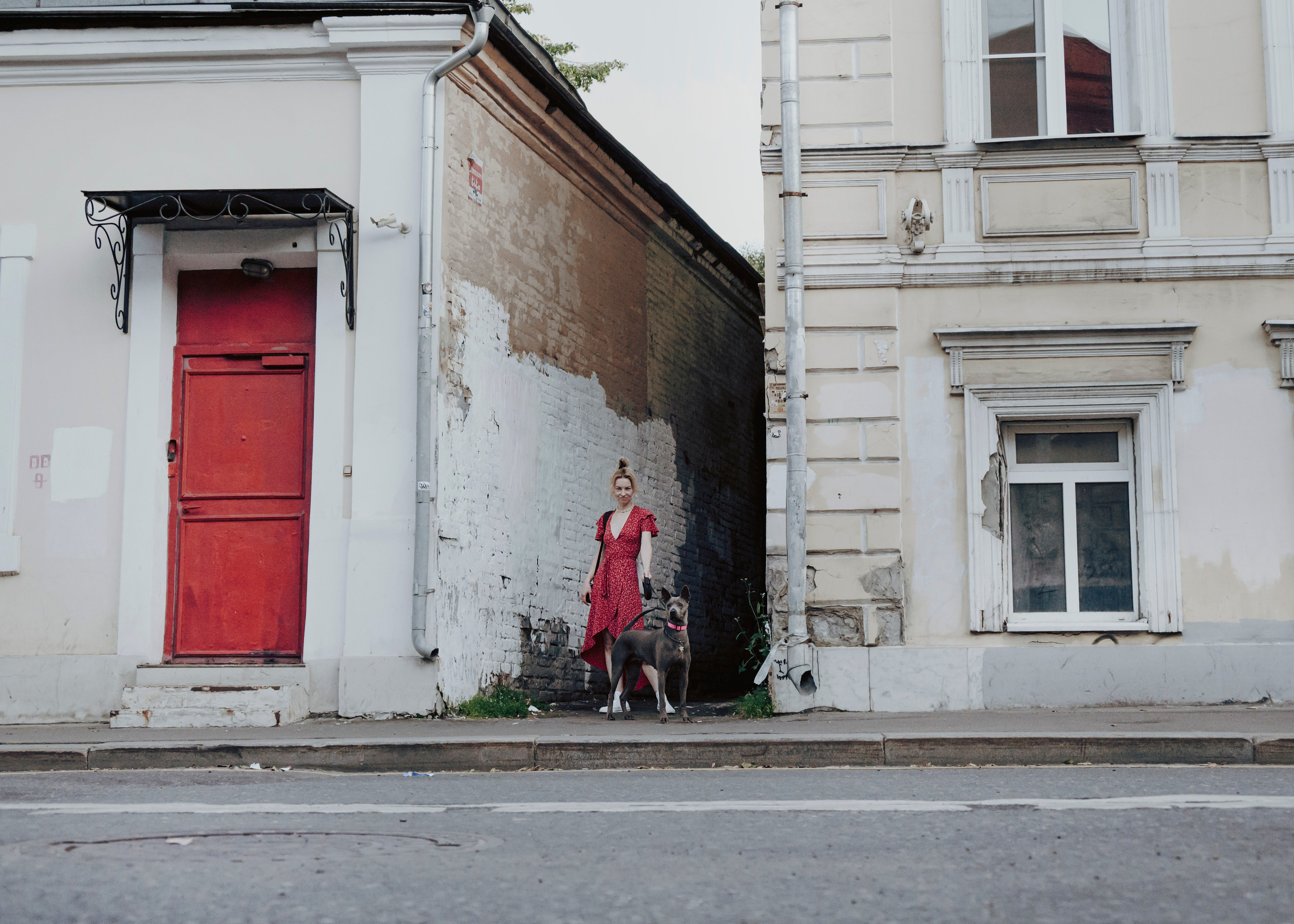 Шарма. Фотограф- анималист Александра Матвеева