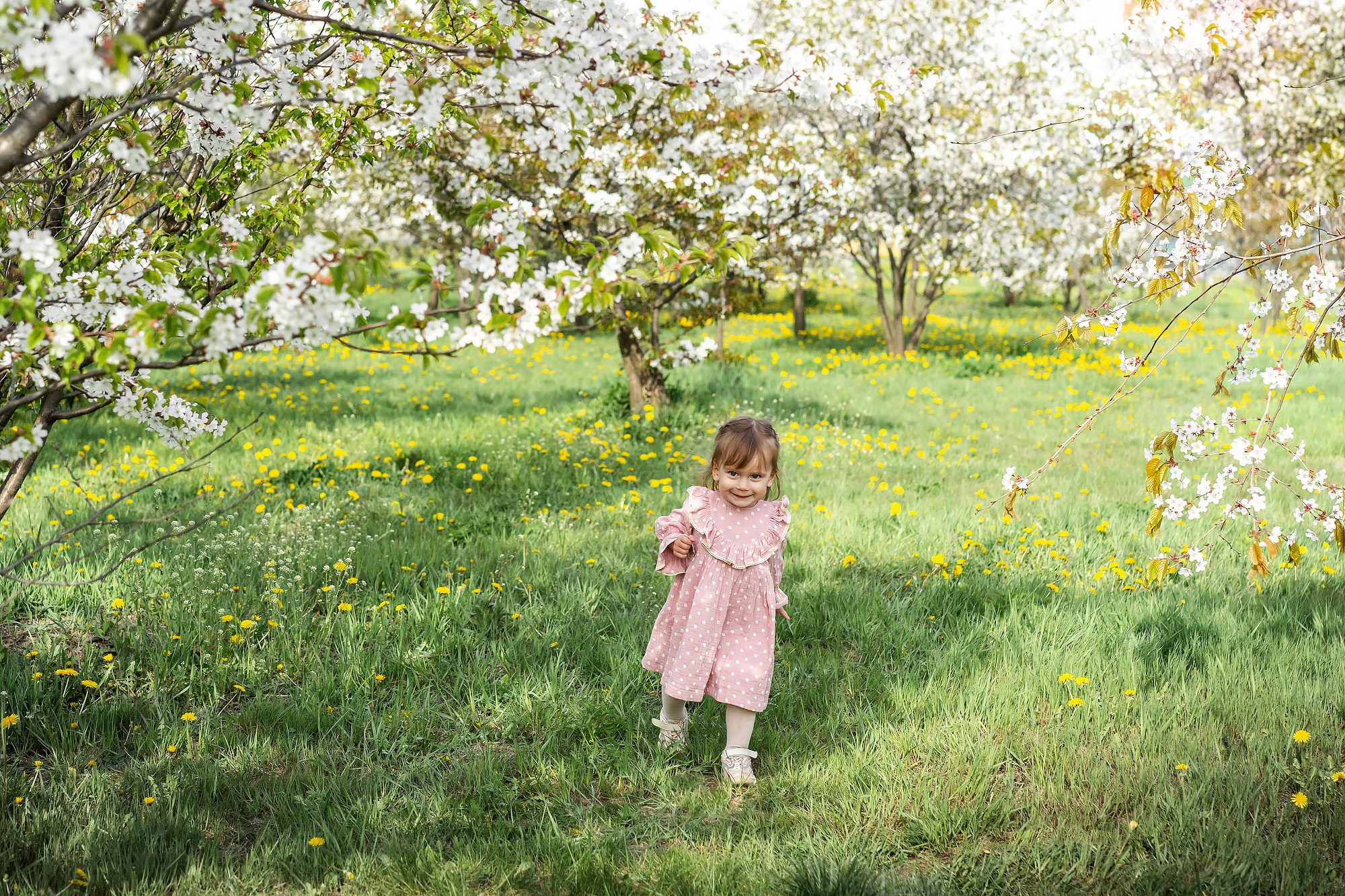 Цветочный пикник. Семейный и детский фотограф во Владивостоке Мария Гой