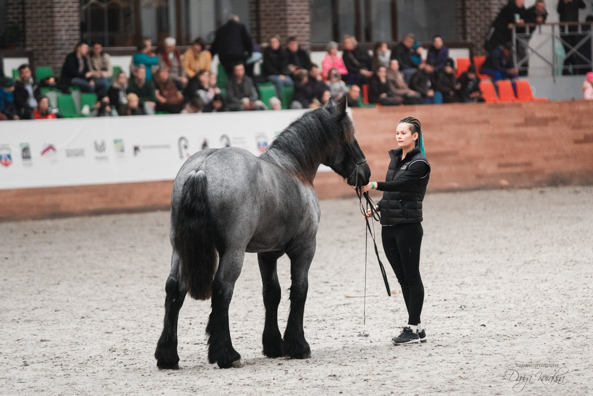 8-я международная выставка Конная Россия. Конный фотограф Куракина Дарья • Фотосессии с лошадьми