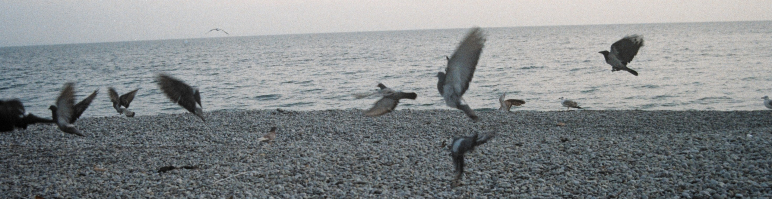 Nature. Артем Корнев Фотограф