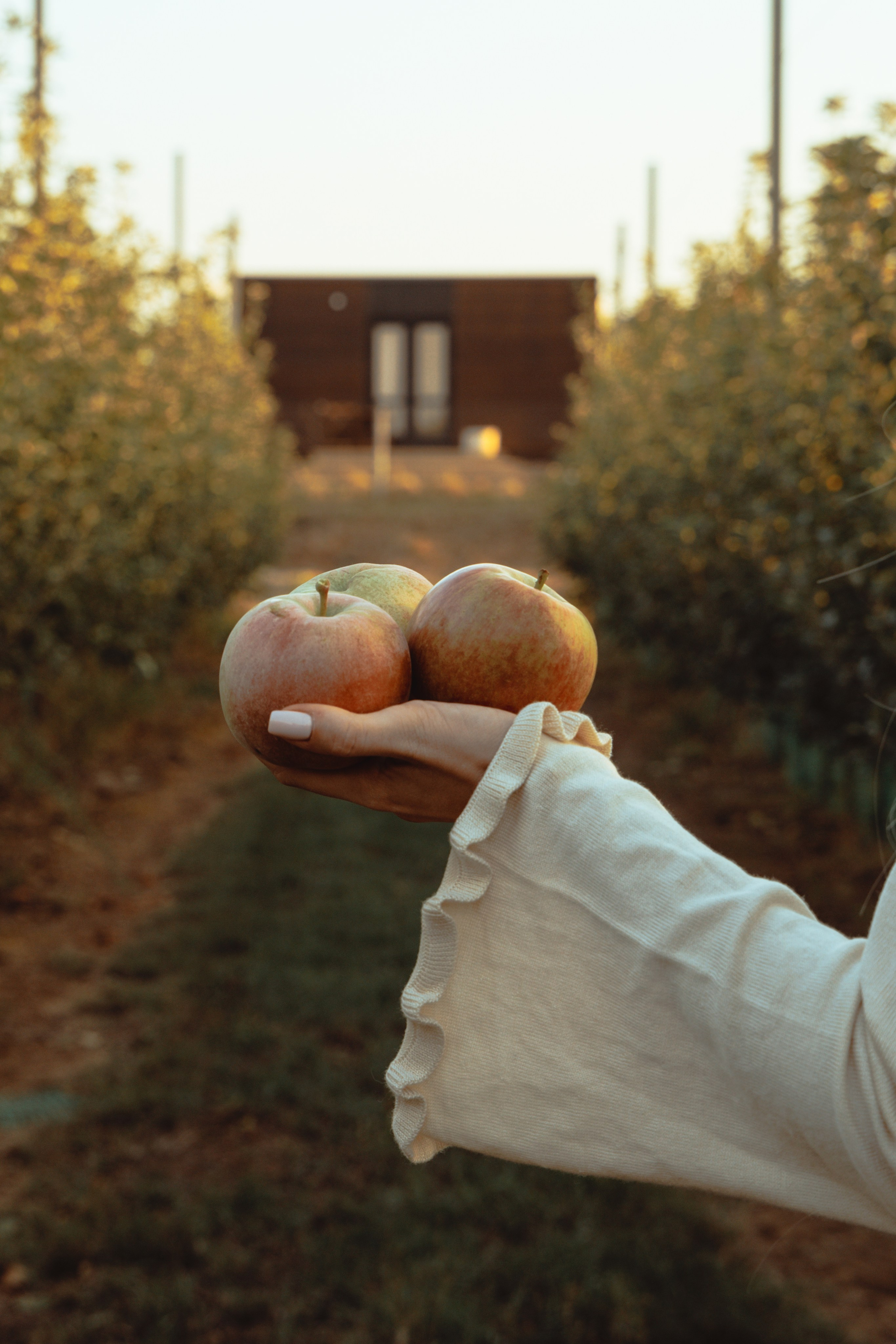 Domik в саду. Артем Корнев Фотограф