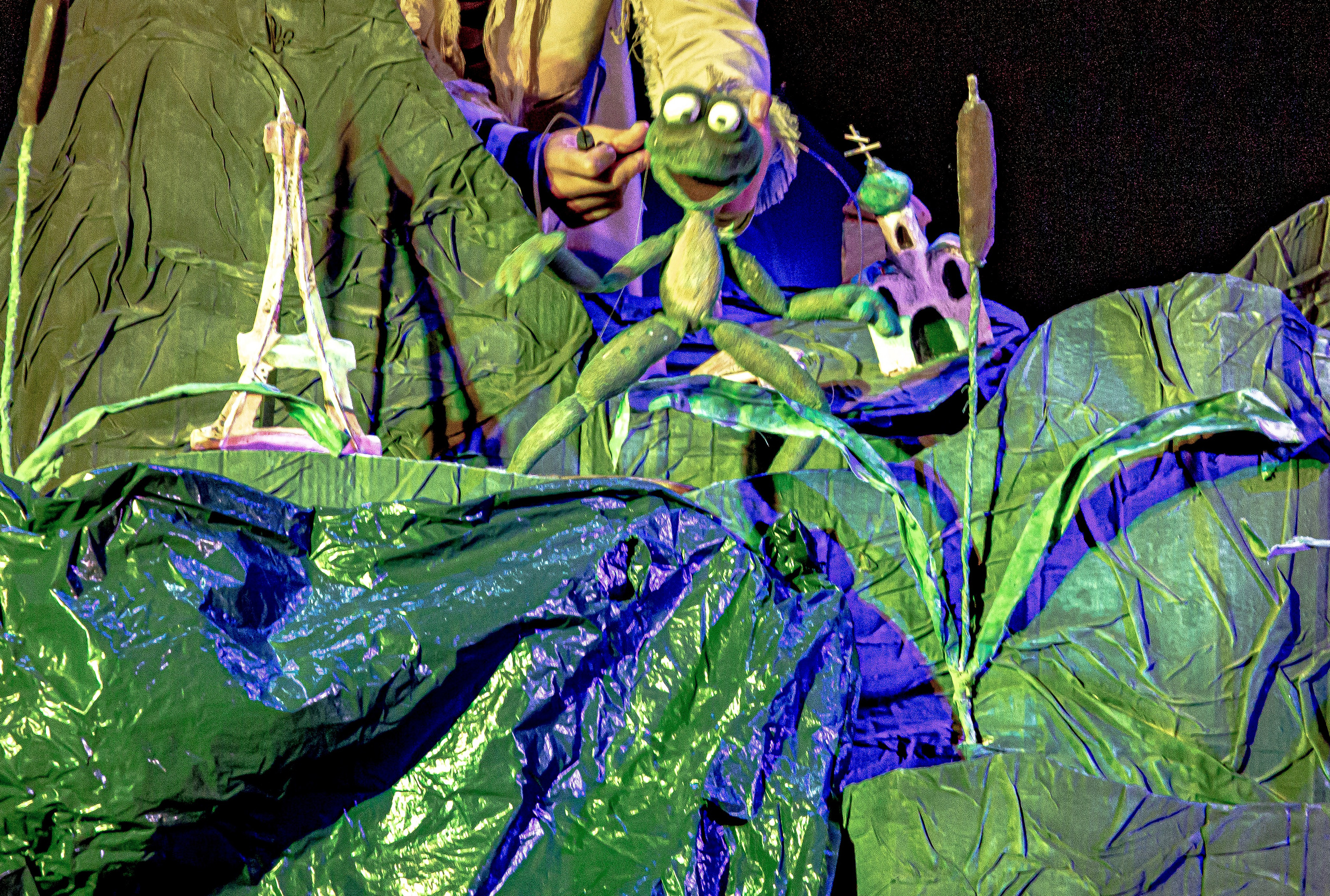 Спектакль театра Саквояж Лягушка путешествиница. Фотограф в Сочи Юрий Шептаев