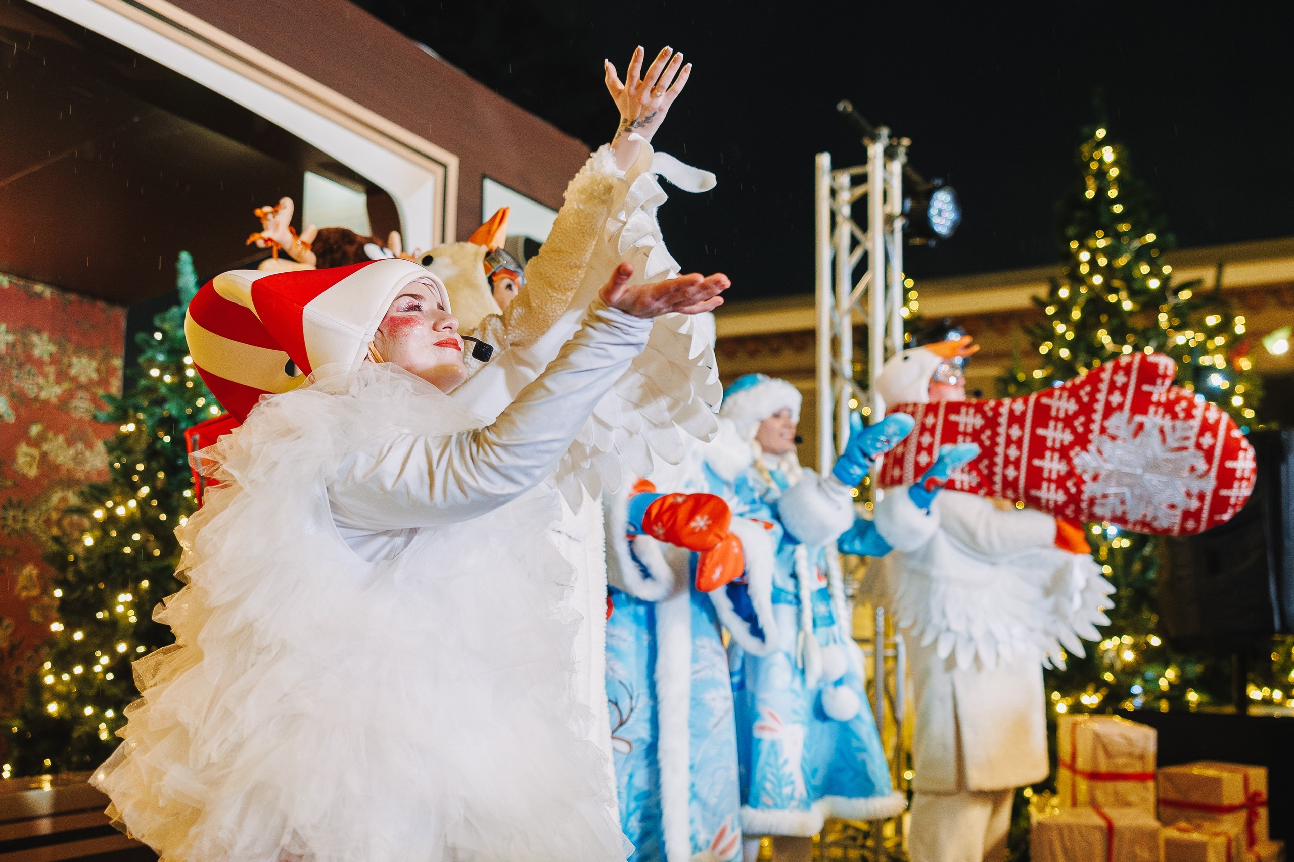 Заказать сказку на новый год, режиссура театрализованного представления, спектакль для детей на новый год. Режиссер в Рязани Ольга Синичкина
