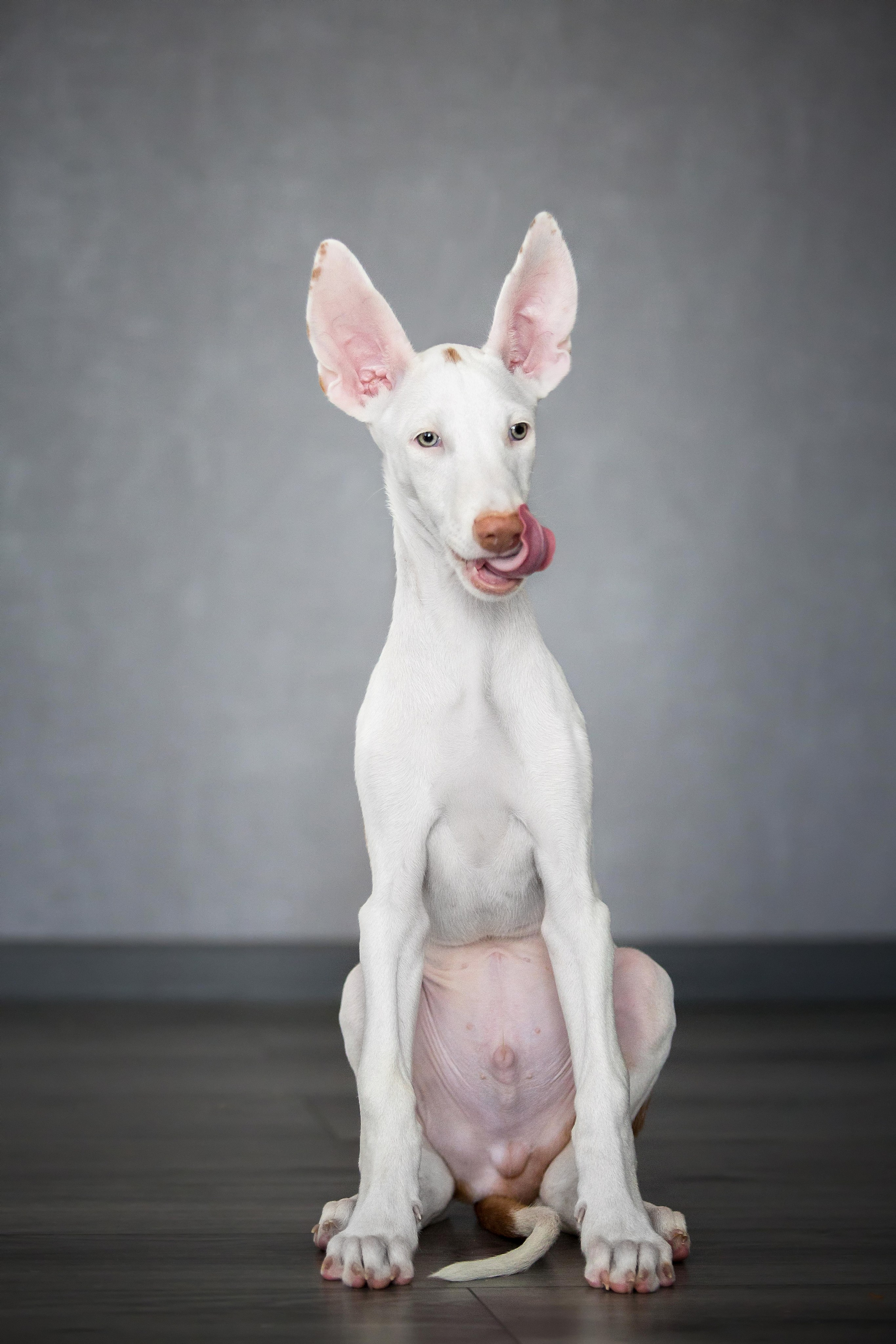 Поденко Ибиценко. Https://moshkovaphoto.ru/