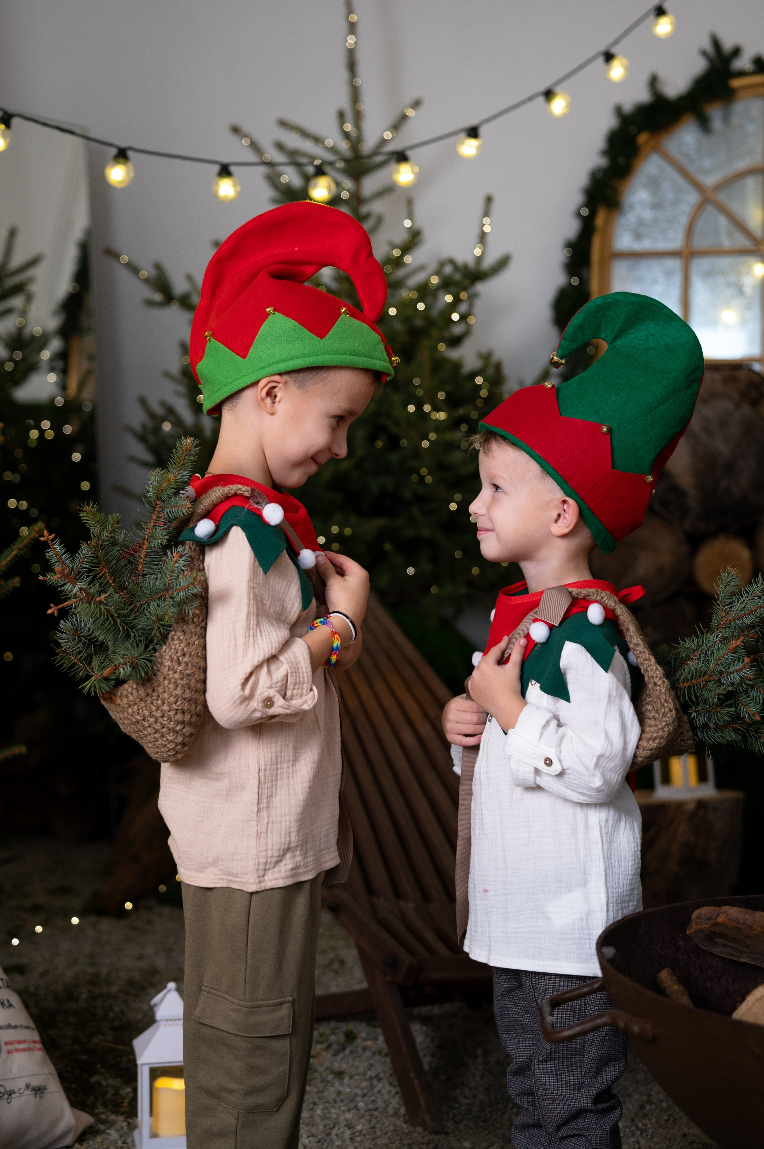 Гномики. Главная