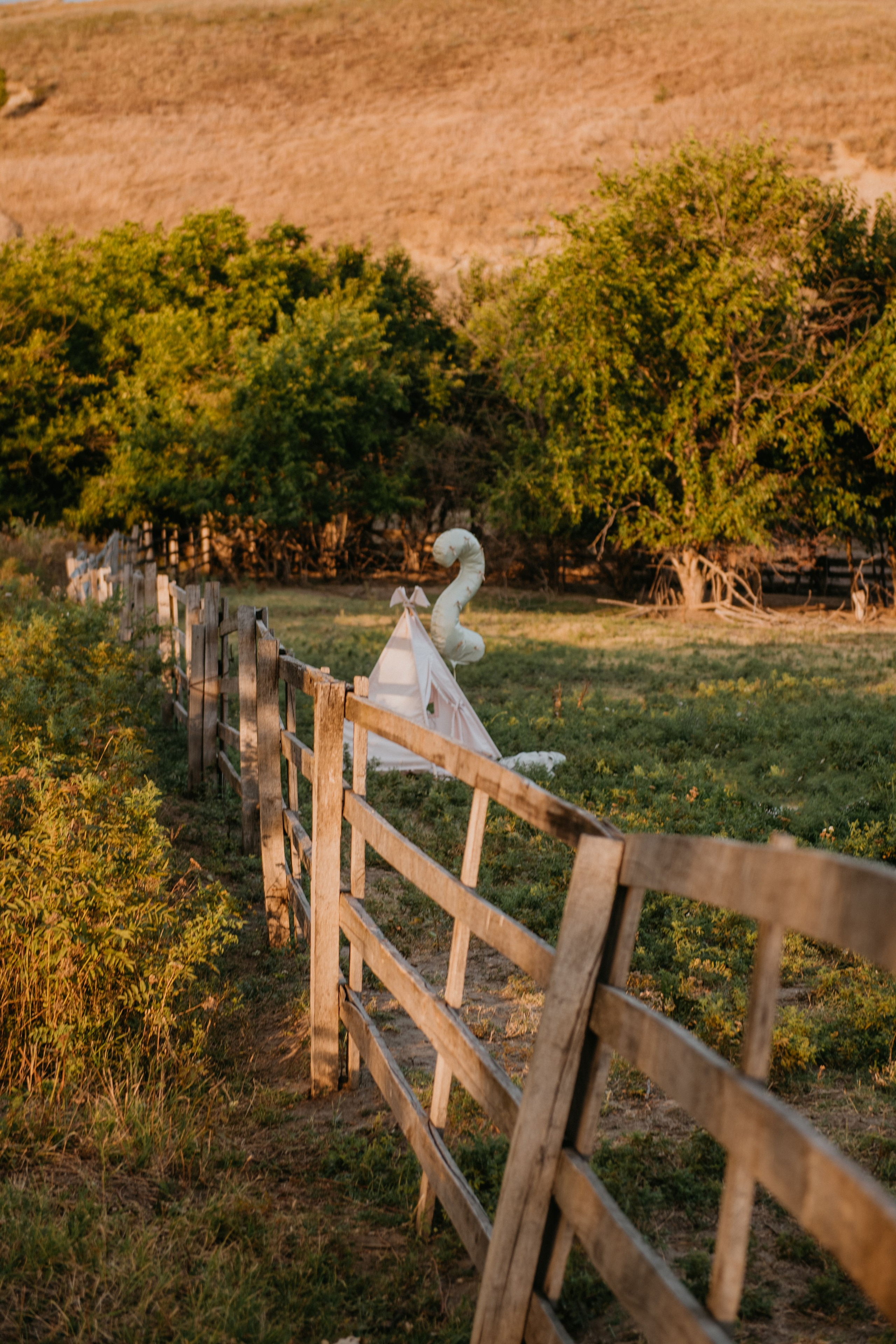 Ария, 2года. Детский и семейный фотограф в Армавире Даша Зубкова