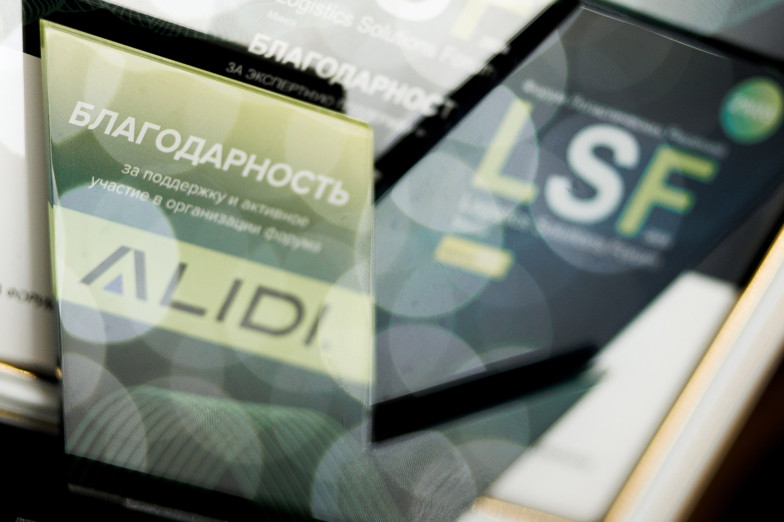 LSF. Свадебный фотограф Каледич Тимофей