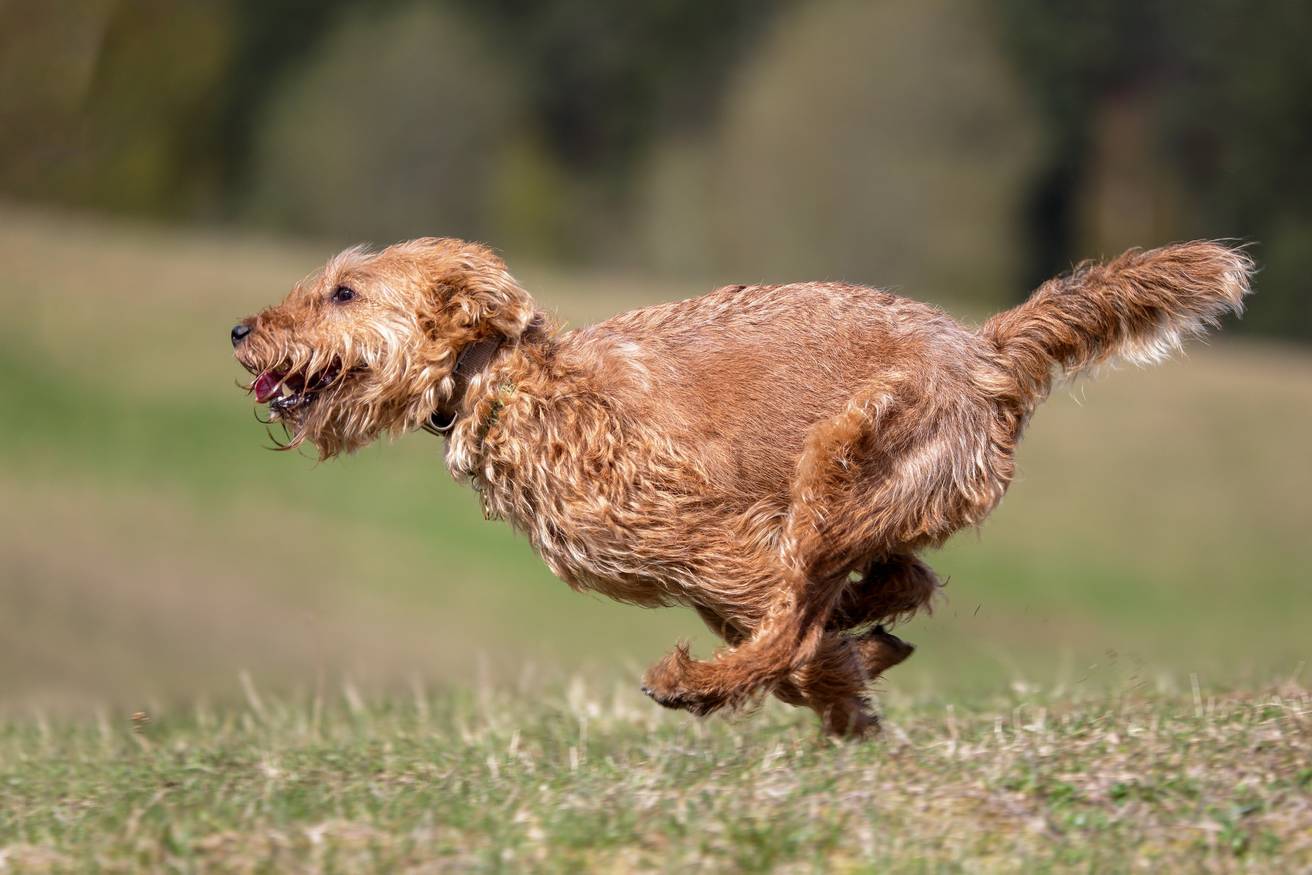 Lure Club май 2024. Irenephoto.ru