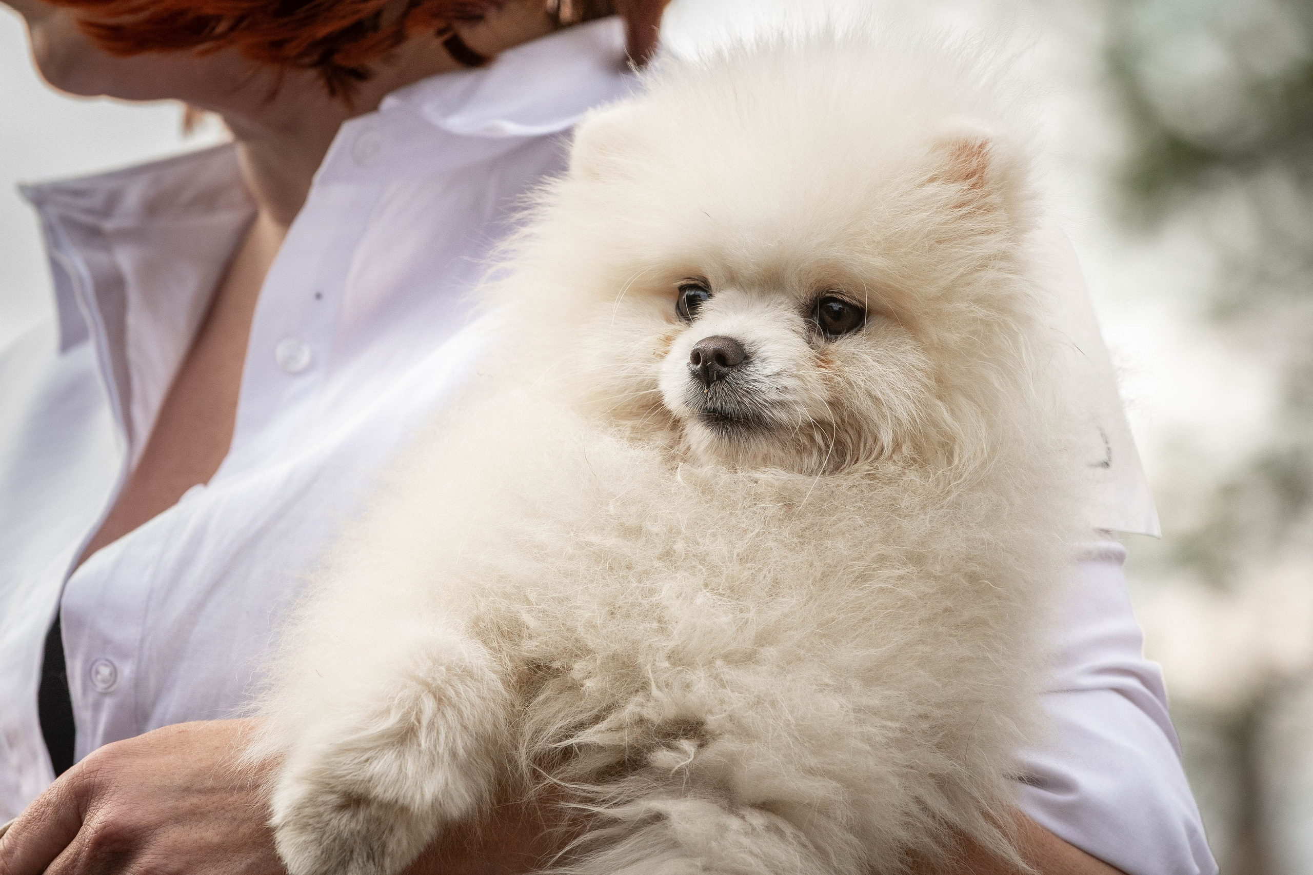 Репортаж (фото с выставок). Фотограф-АниМалист Анна Абрамова