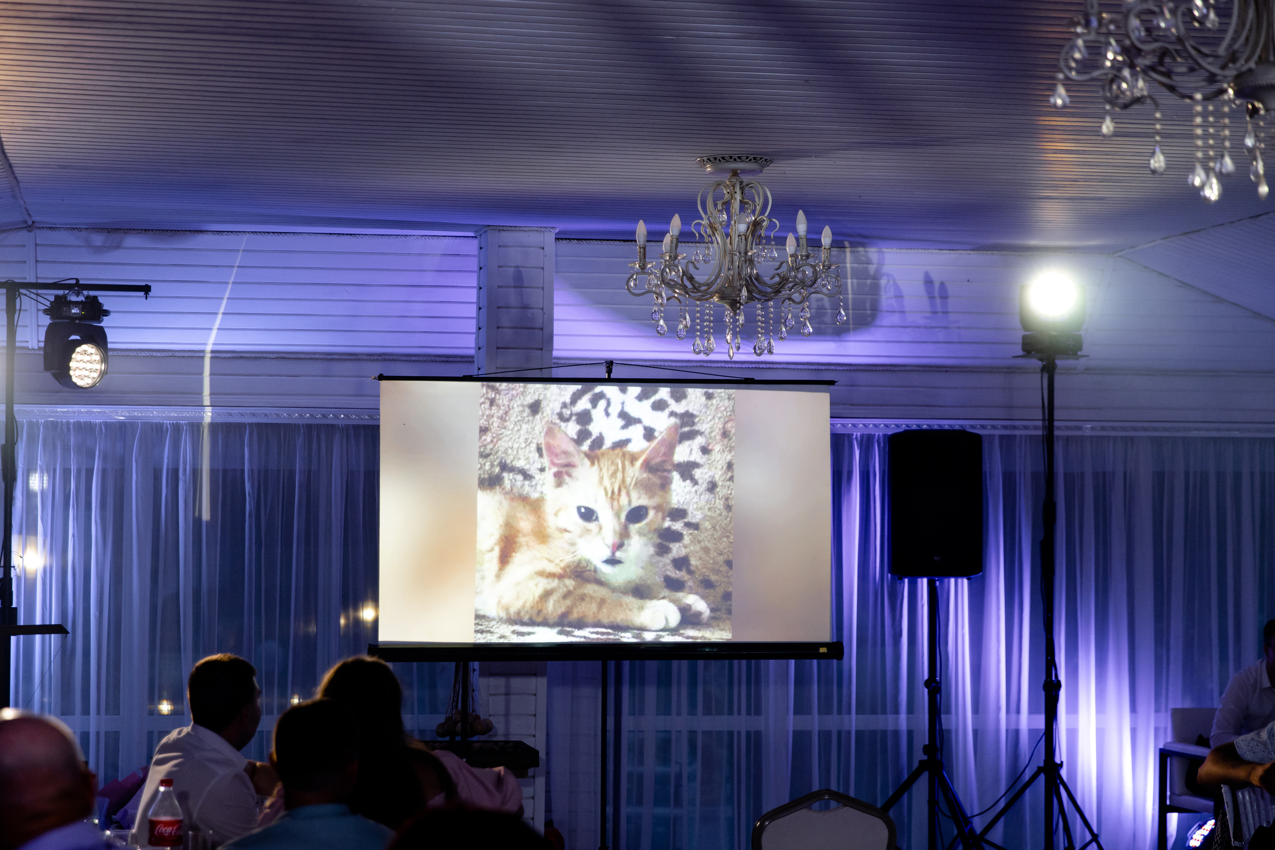 Сергей и Маша. Свадебный фотограф Анна Бабахина