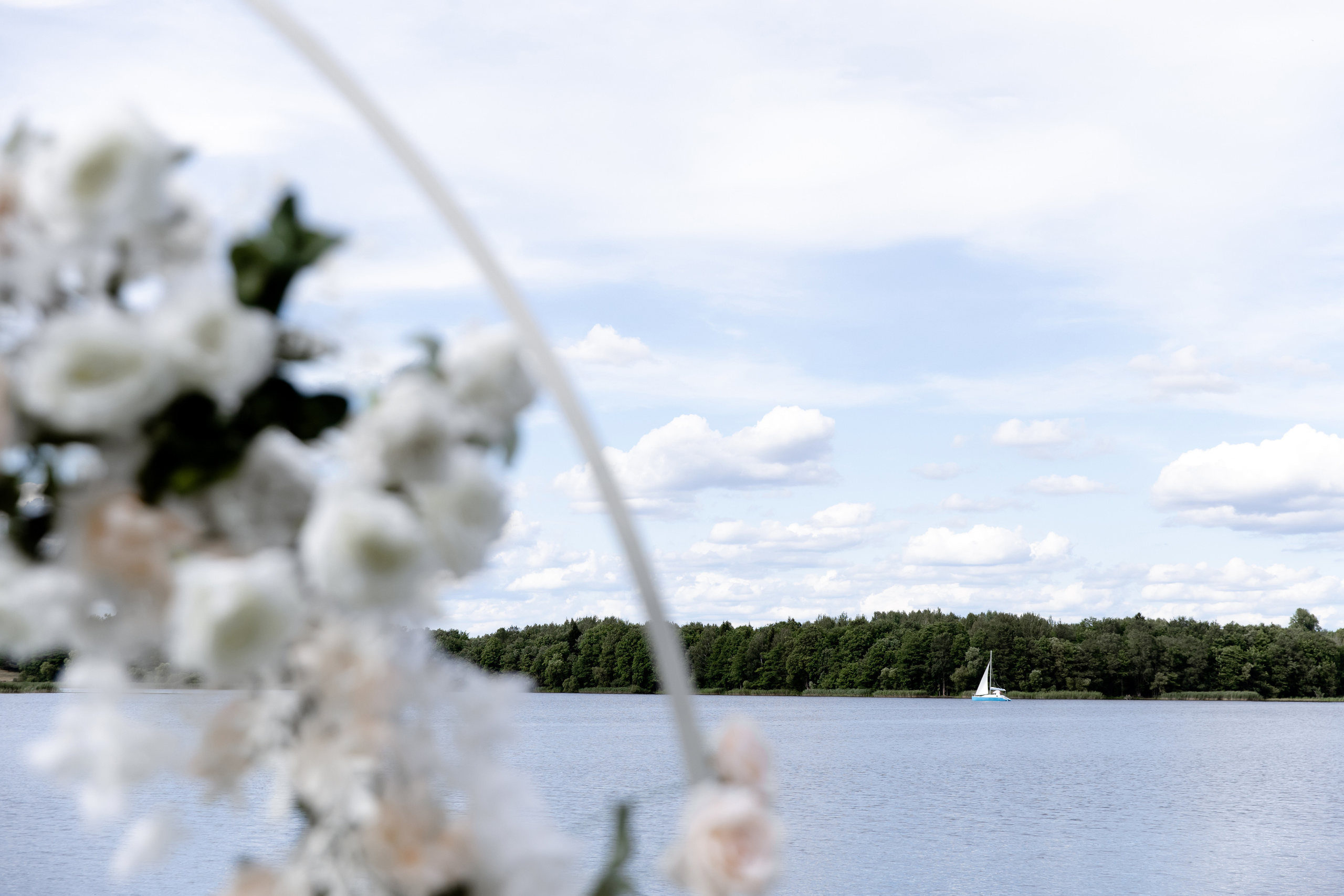 Сергей и Маша. Свадебный фотограф Анна Бабахина
