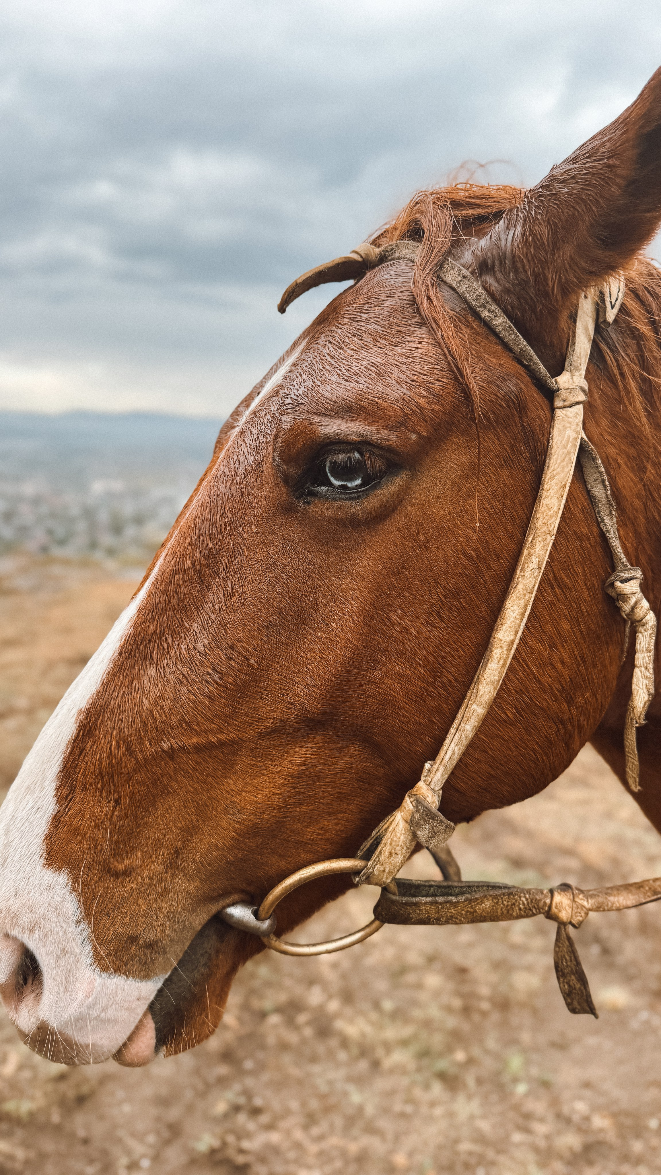 Карачаево-Черкесская республика. Организатор Авторских Туров Жукова Алёна