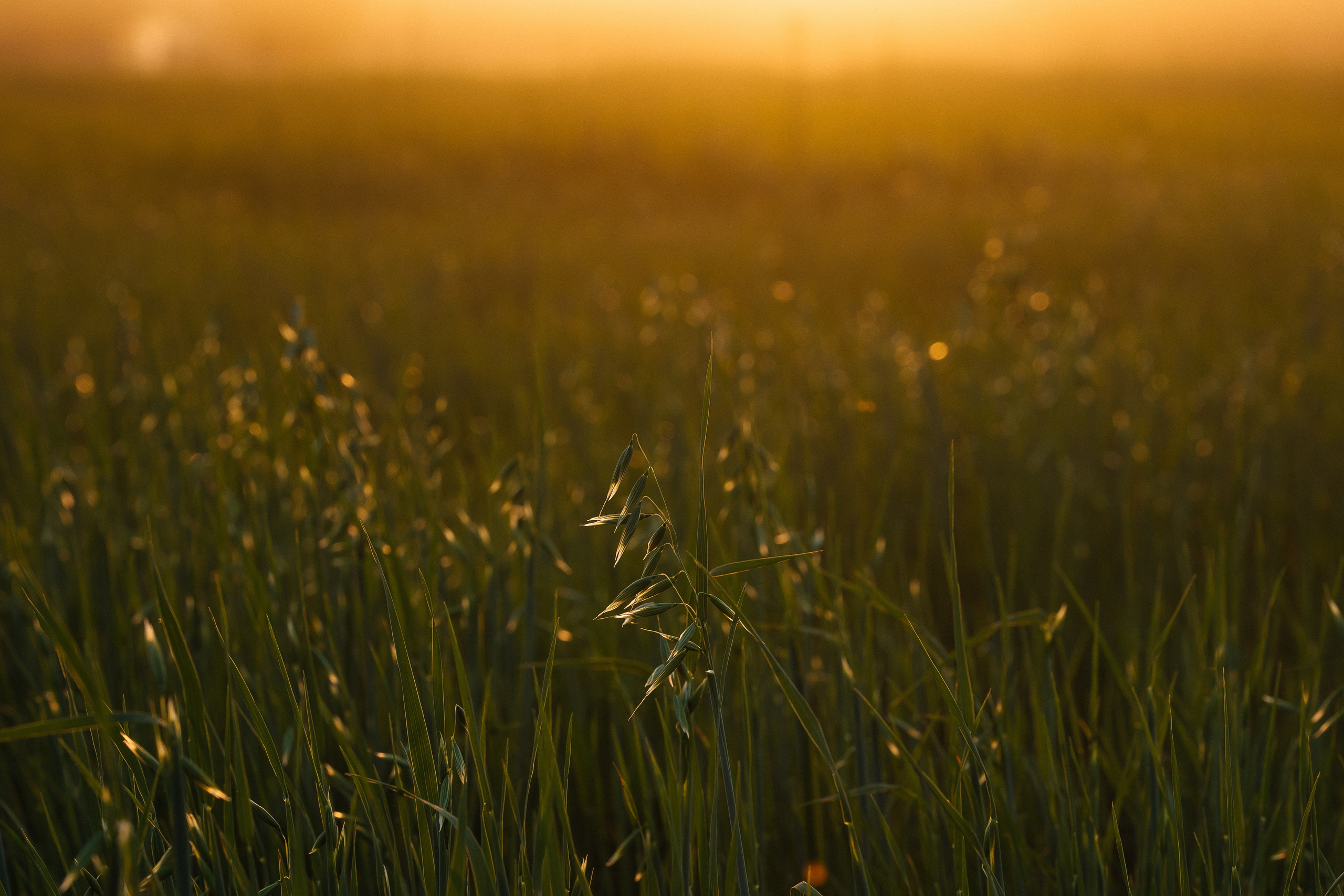 ПЕЙЗАЖ И ЛЮДИ. Саргылана Афанасьева